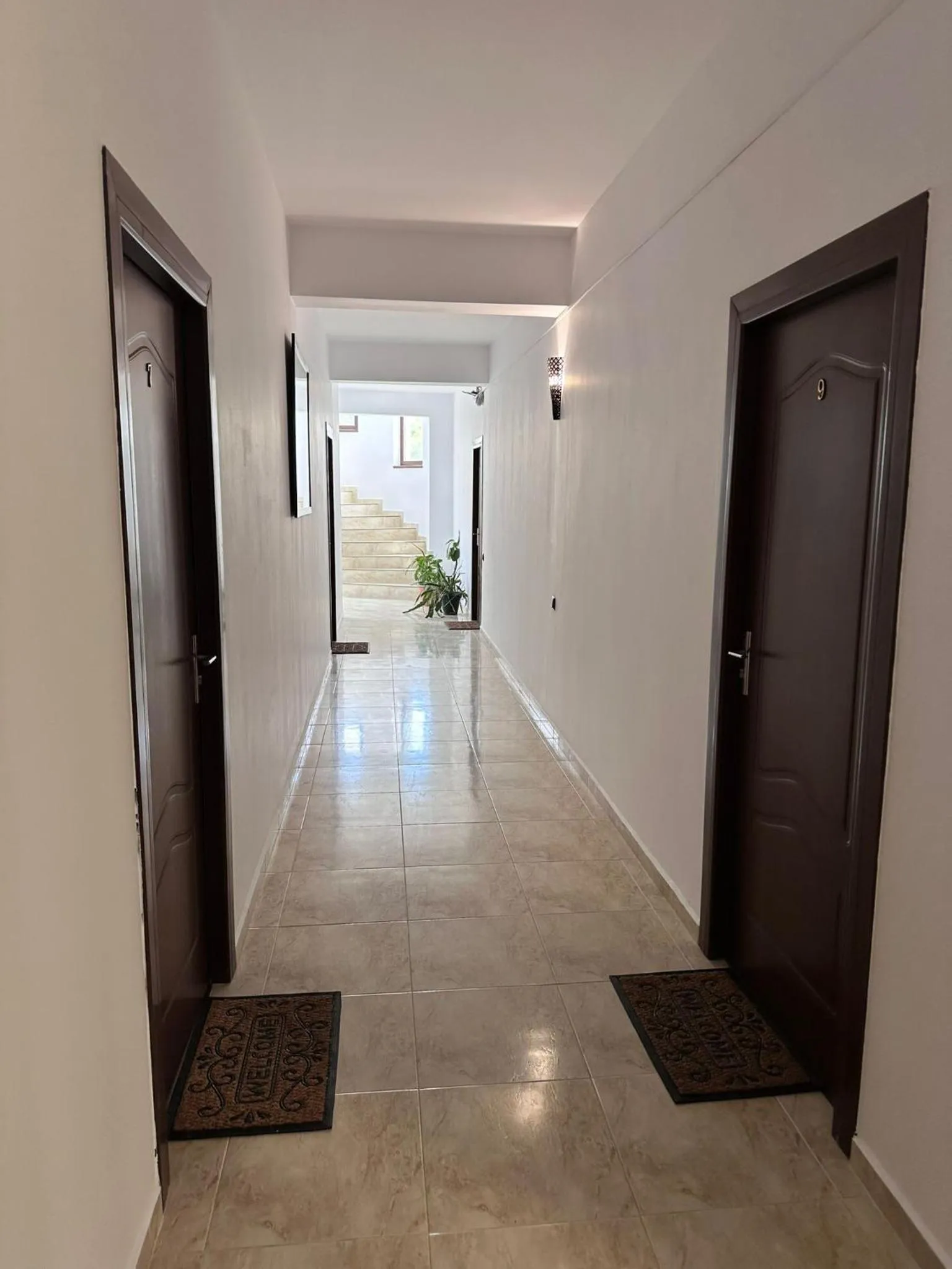 Property building in Paradox Oituz