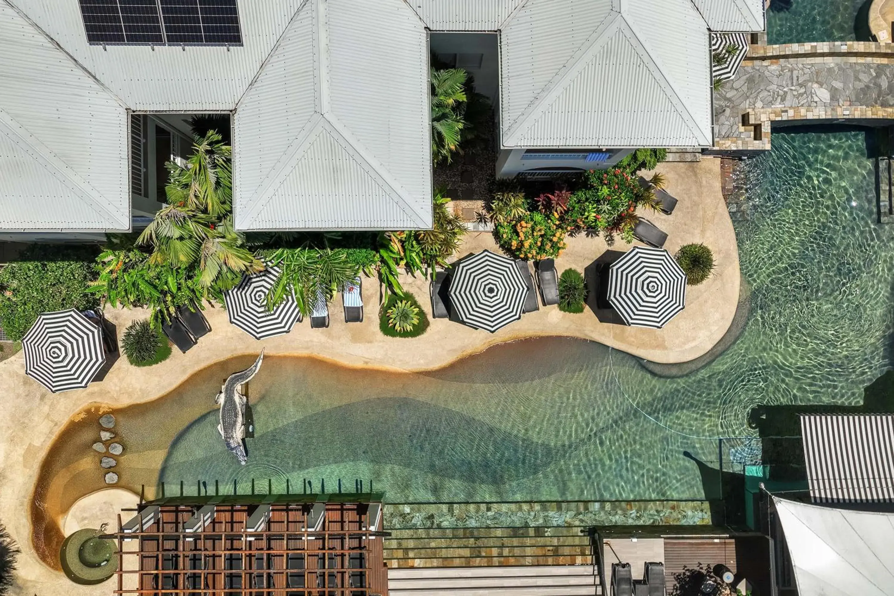 Swimming pool in Mantra PortSea Swimming pool in Mantra PortSea