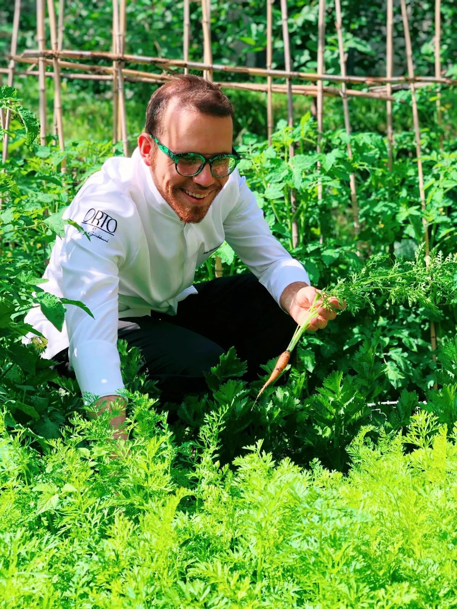 Garden in Hotel Villa Edera & La Torretta