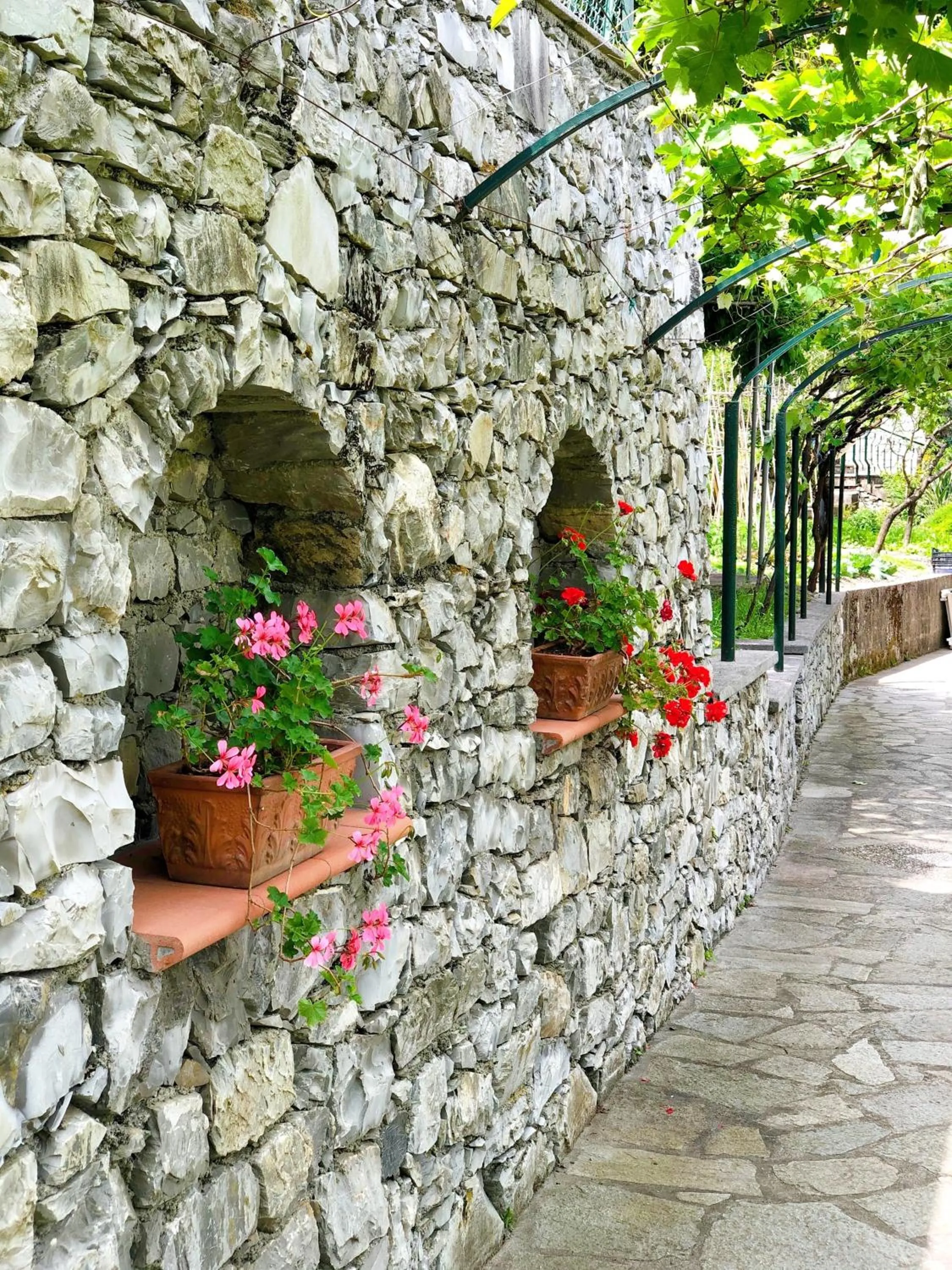 Garden in Hotel Villa Edera & La Torretta