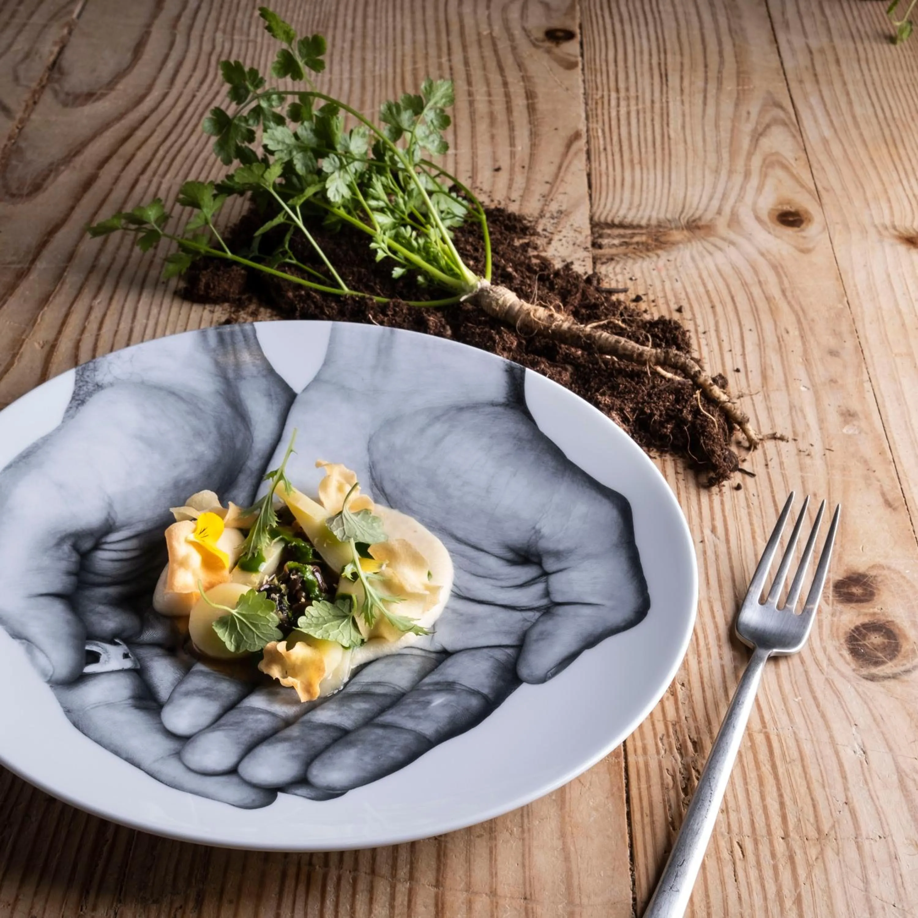 Dinner in Hotel Villa Edera & La Torretta