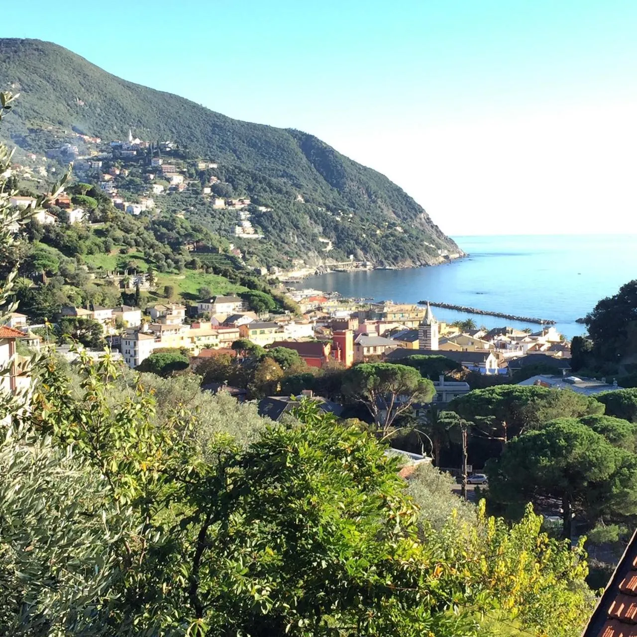 Natural landscape in Hotel Villa Edera & La Torretta