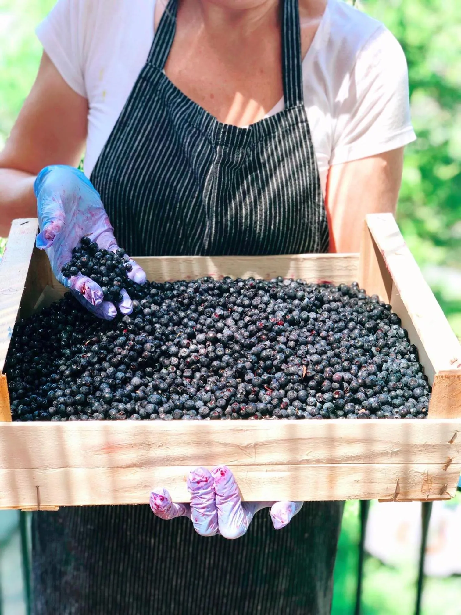 Garden in Hotel Villa Edera & La Torretta