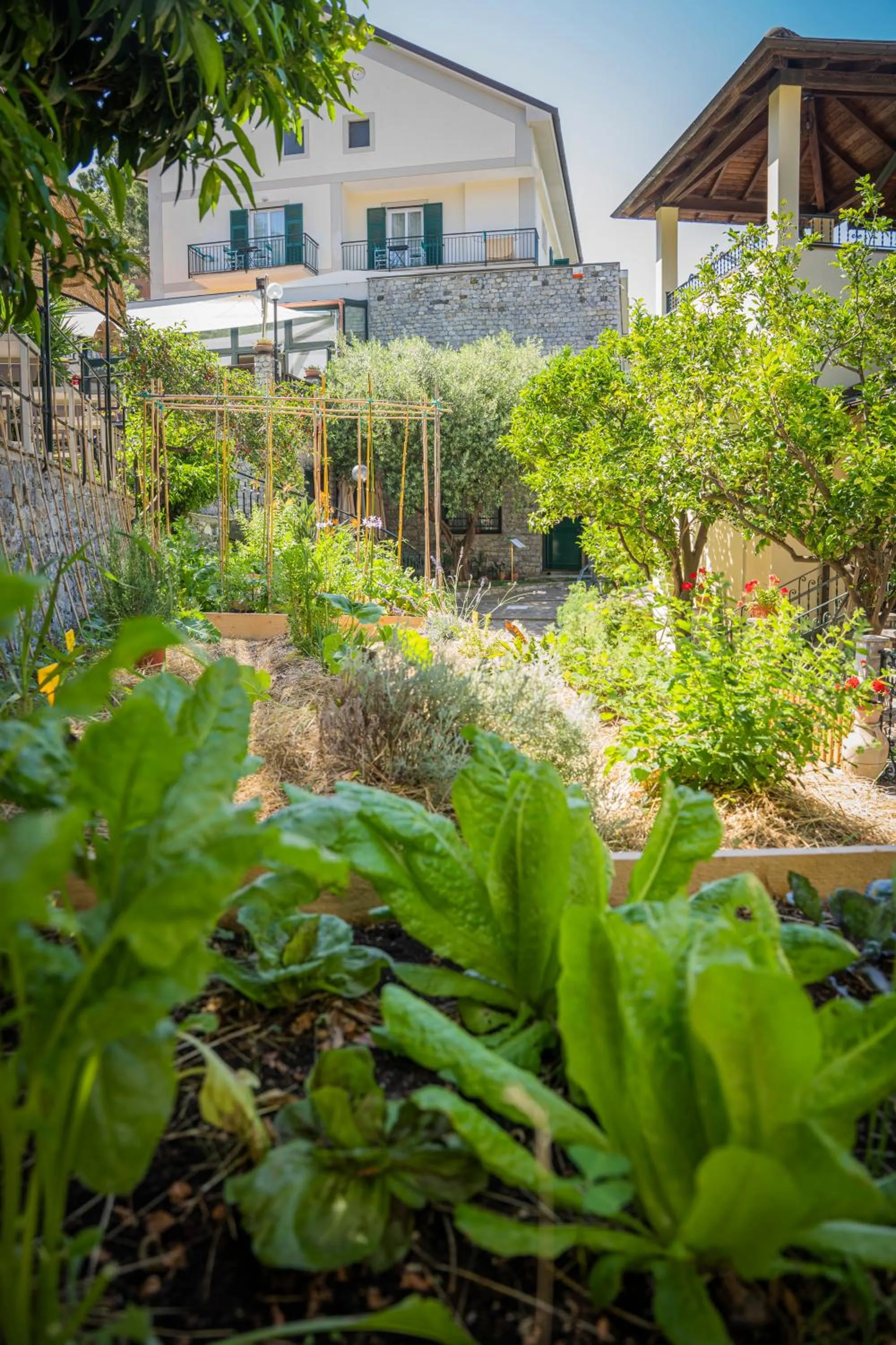Garden in Hotel Villa Edera & La Torretta
