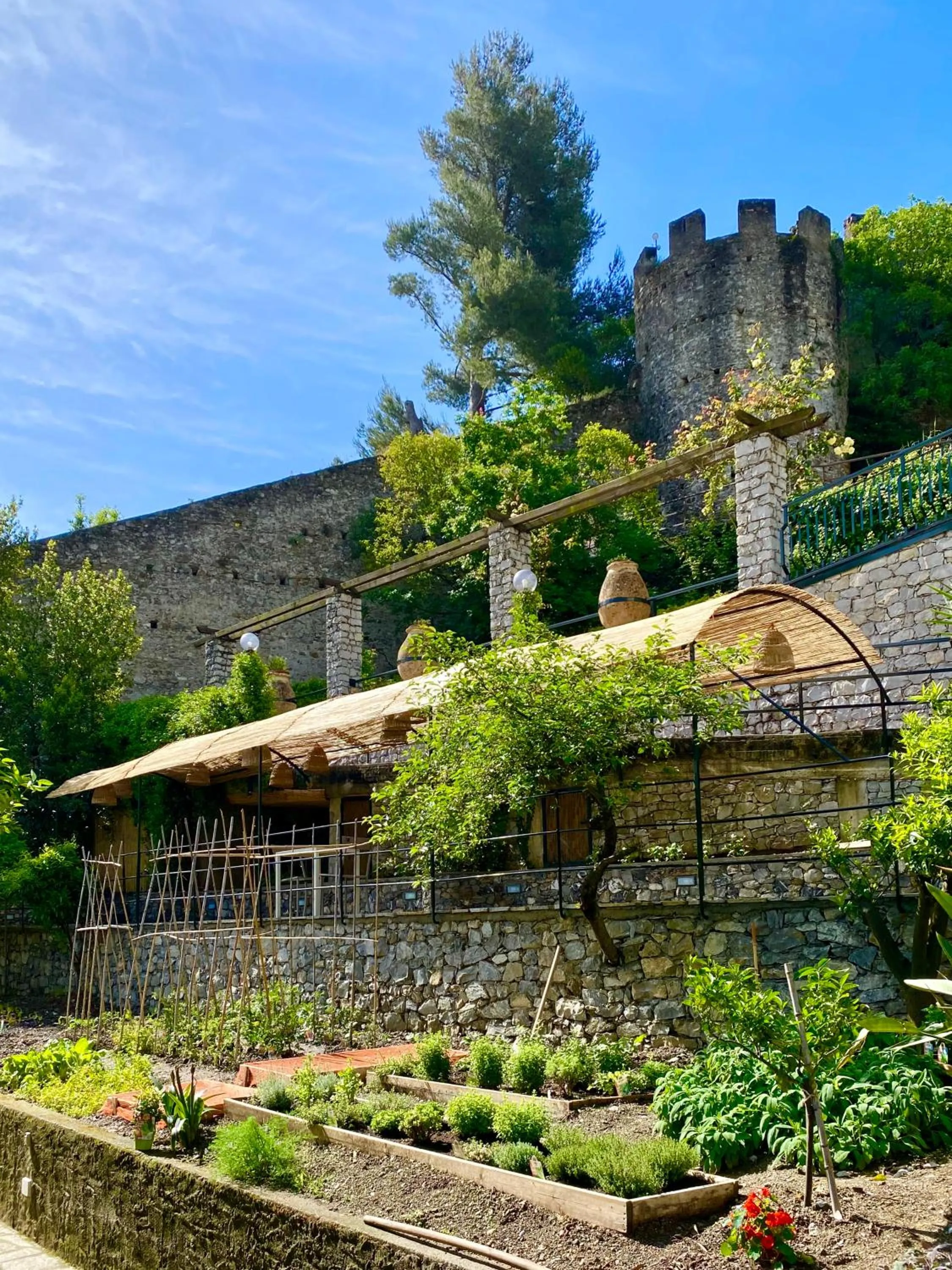 Garden in Hotel Villa Edera & La Torretta