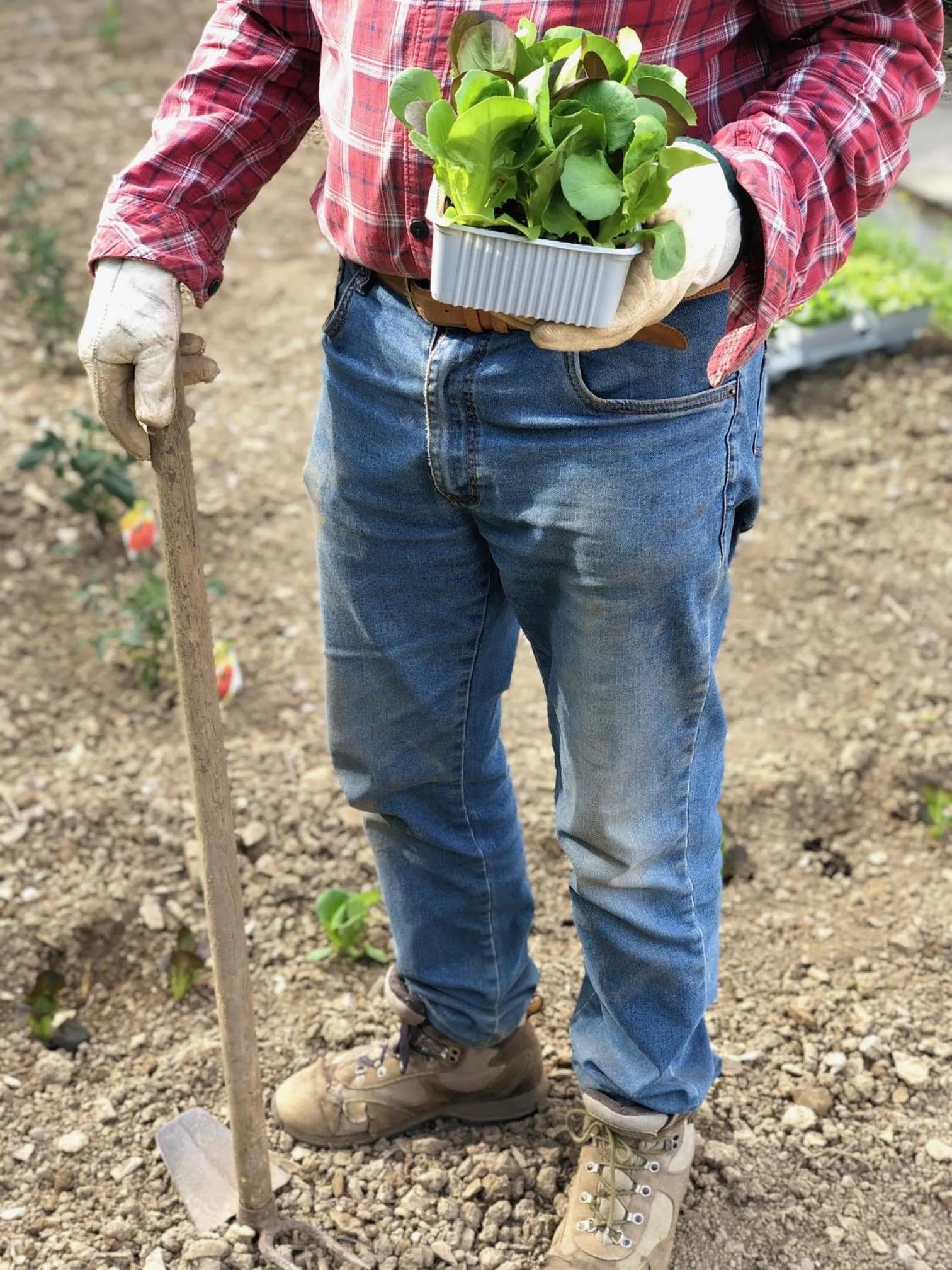 Restaurant/places to eat in Hotel Villa Edera & La Torretta