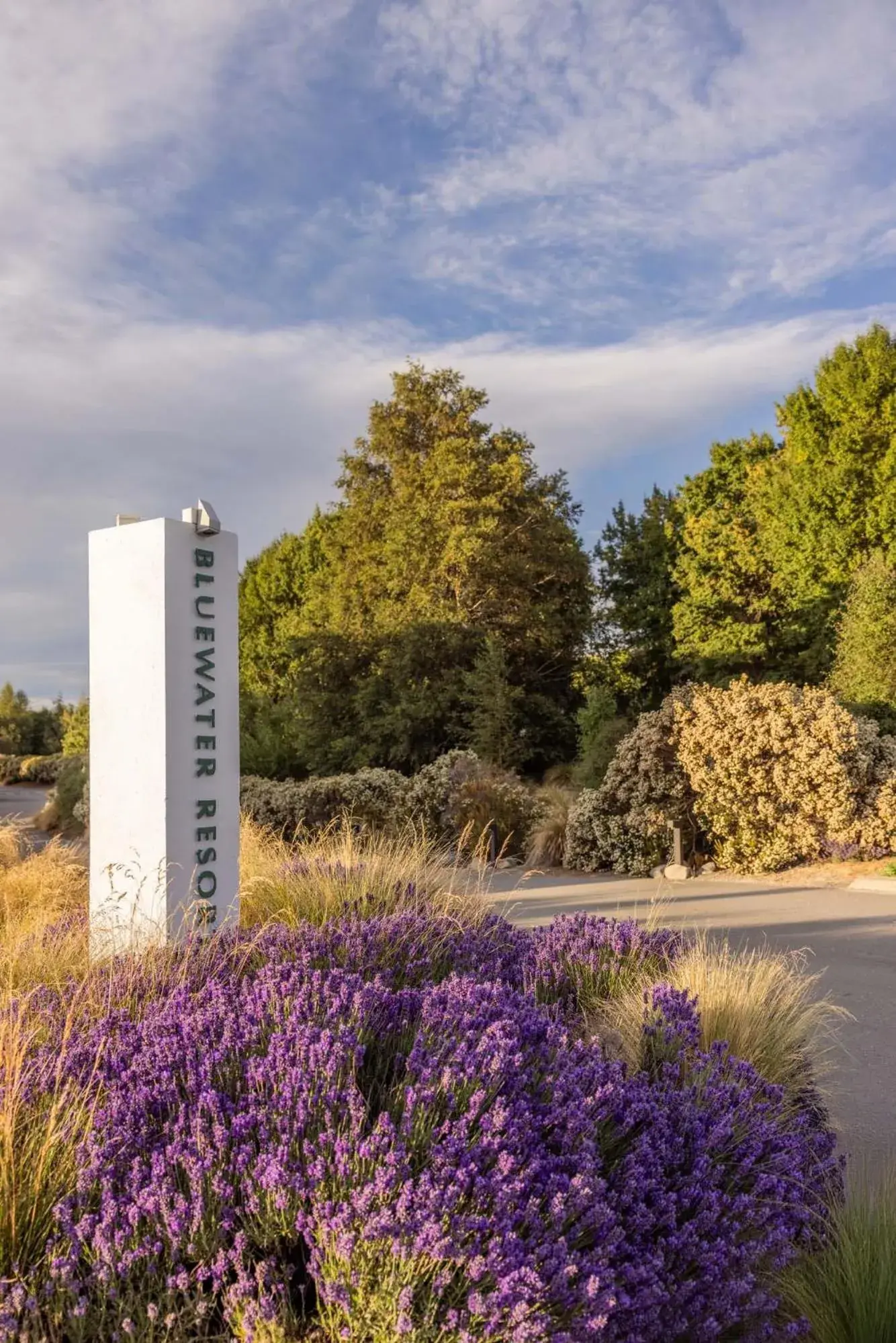 Property building in Peppers Bluewater Resort Property building in Peppers Bluewater Resort