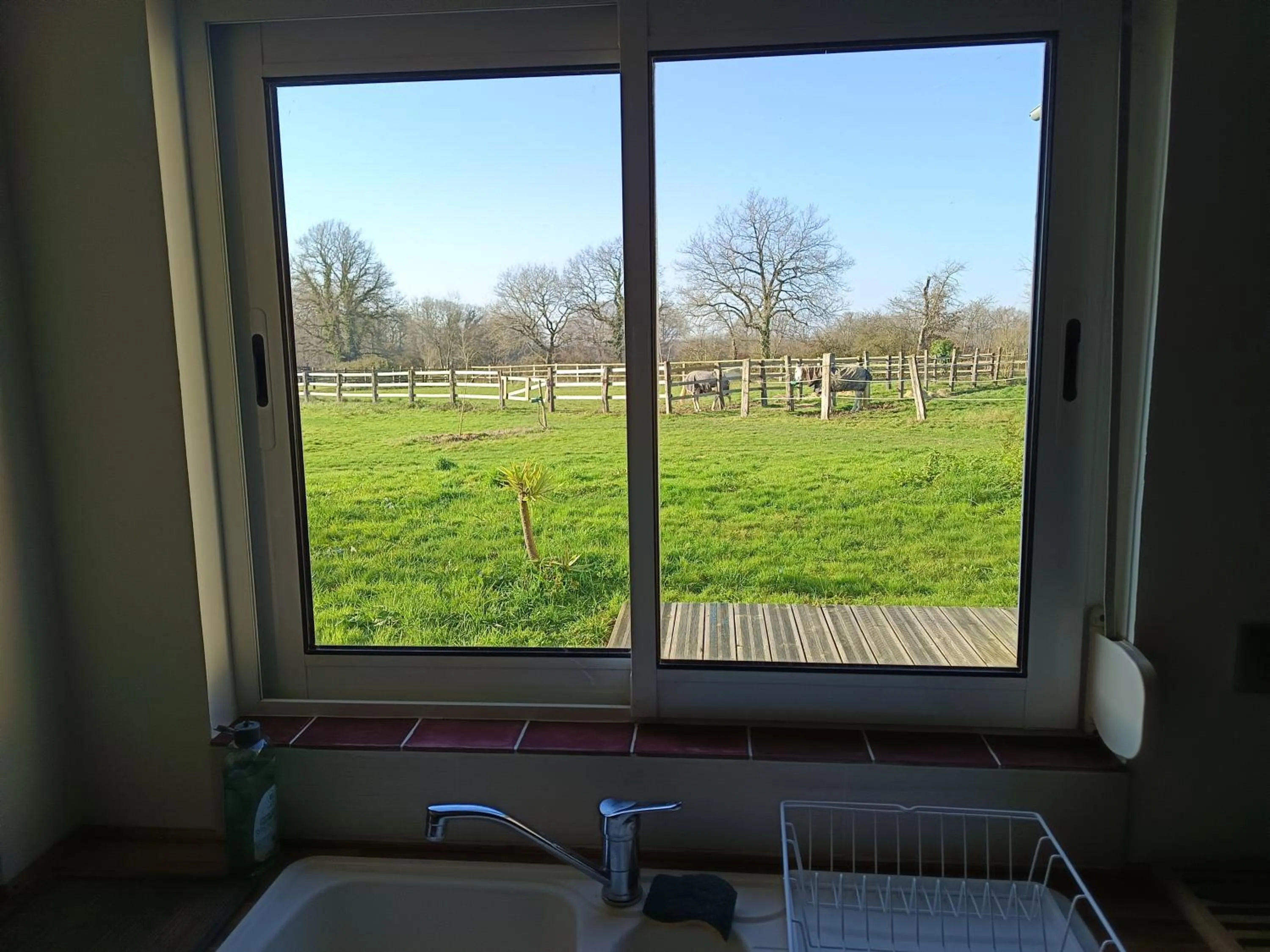 Gîte et Chambre d'hôte de l'élevage du Lattay