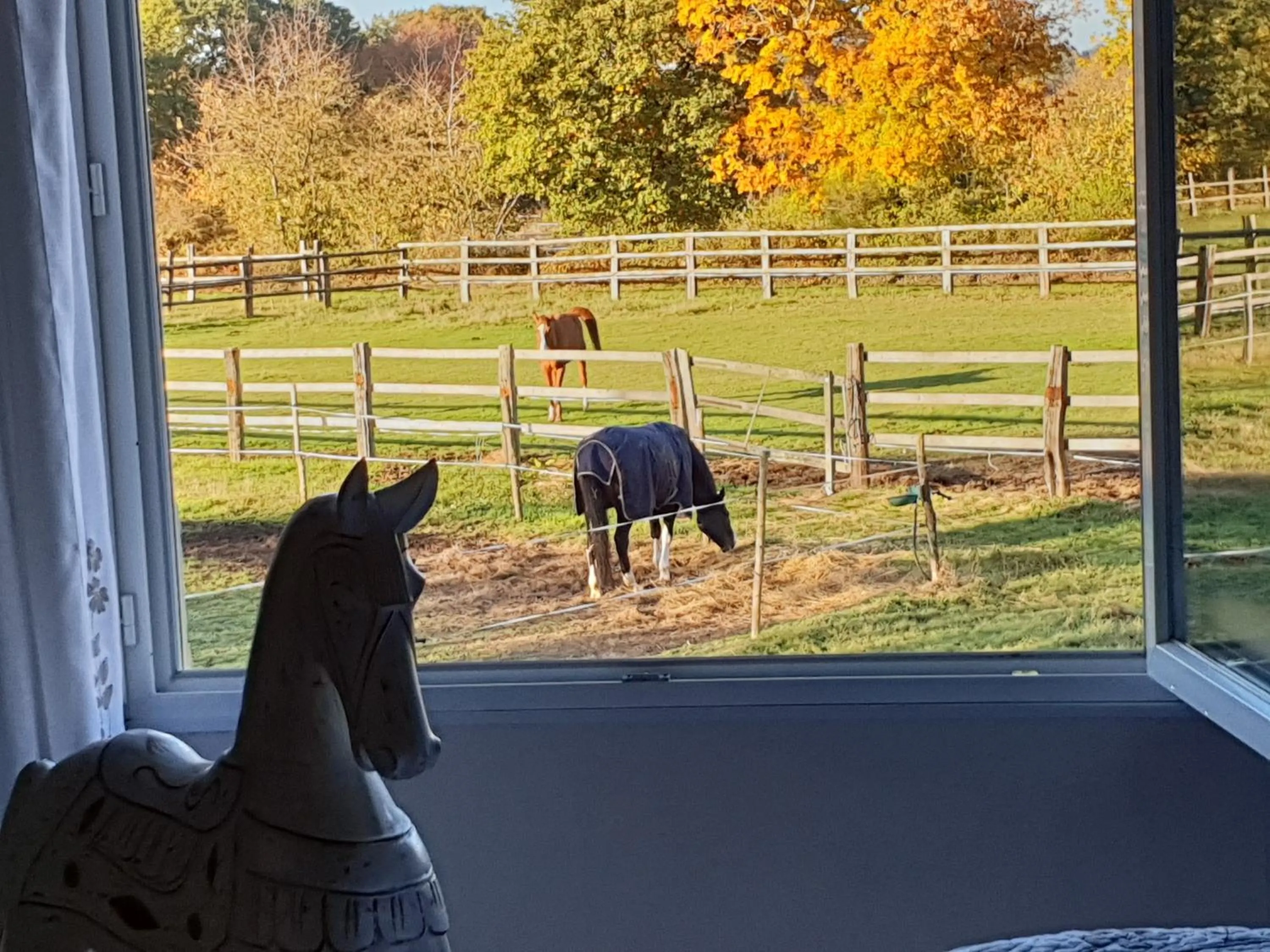 View (from property/room) in Gîte et Chambre d'hôte de l'élevage du Lattay