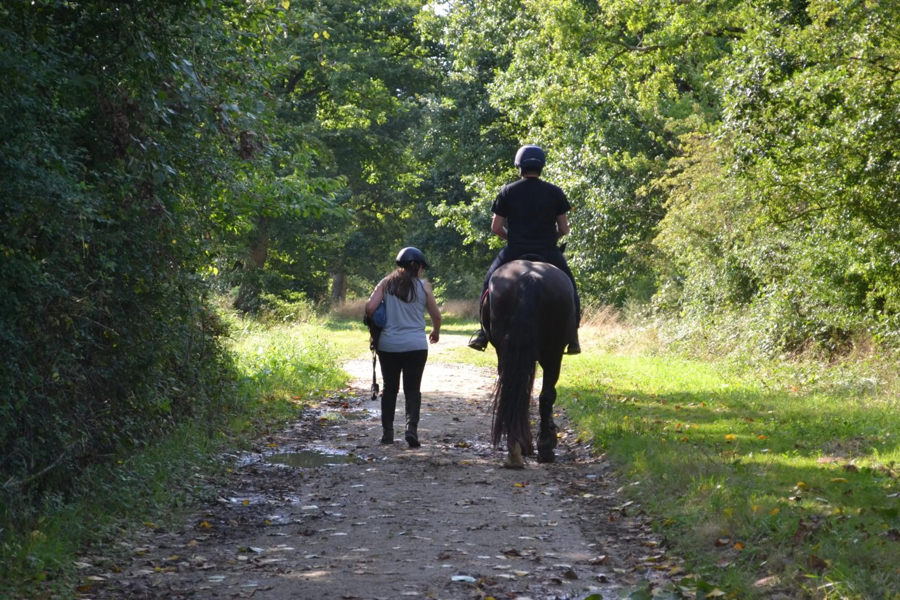 Hiking in Gîte et Chambre d'hôte de l'élevage du Lattay