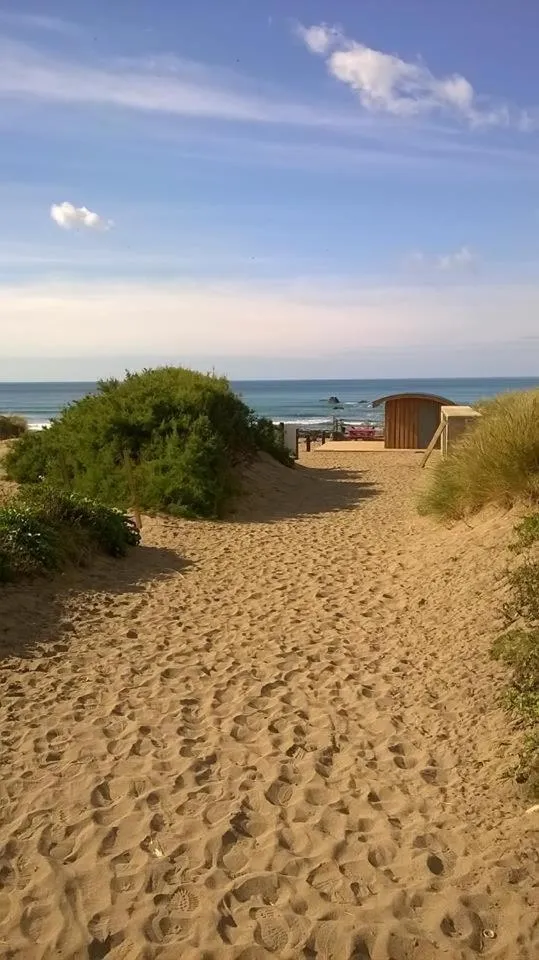 Garden in Beach House B&B