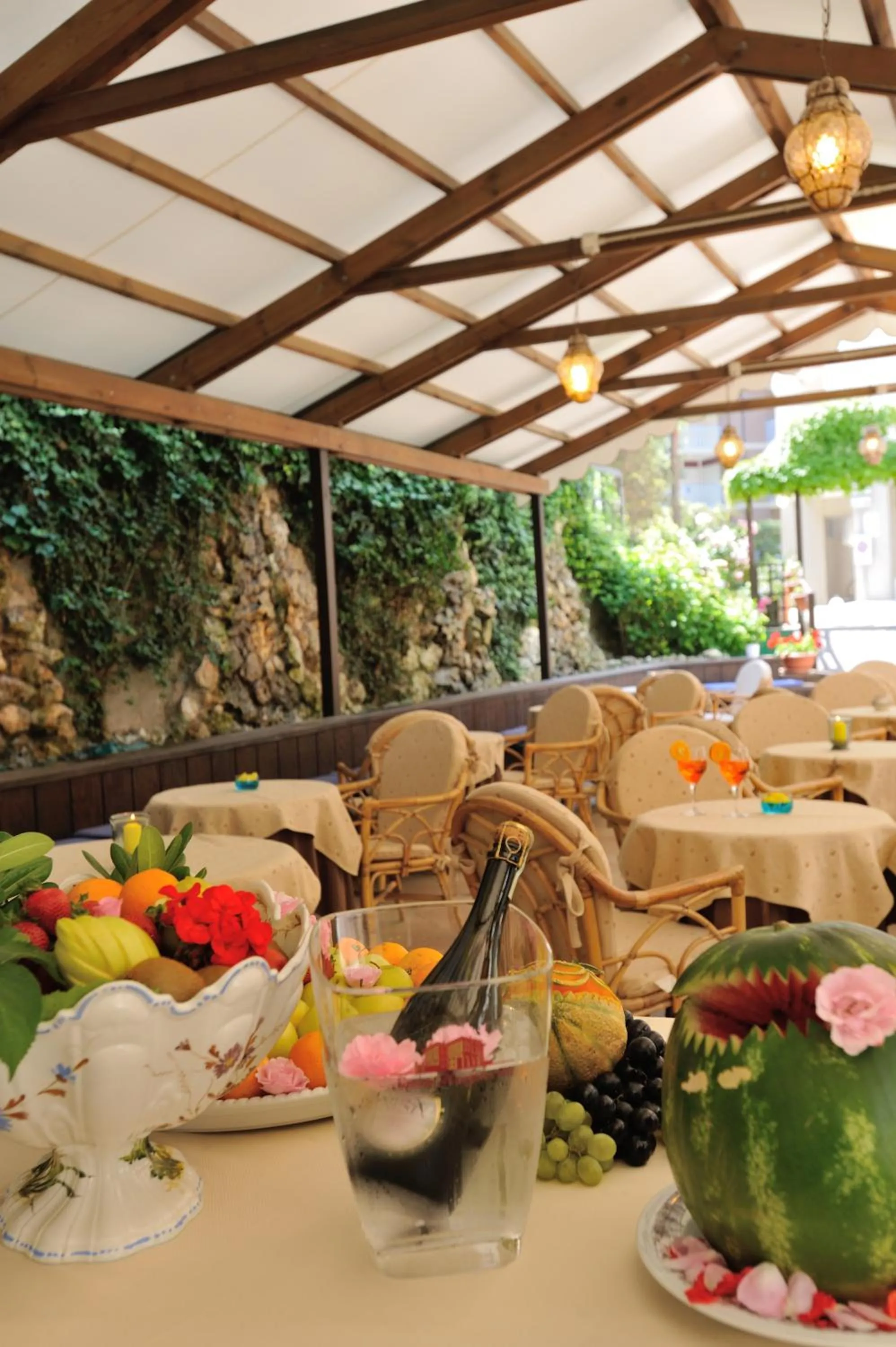 Garden in Hotel Salus