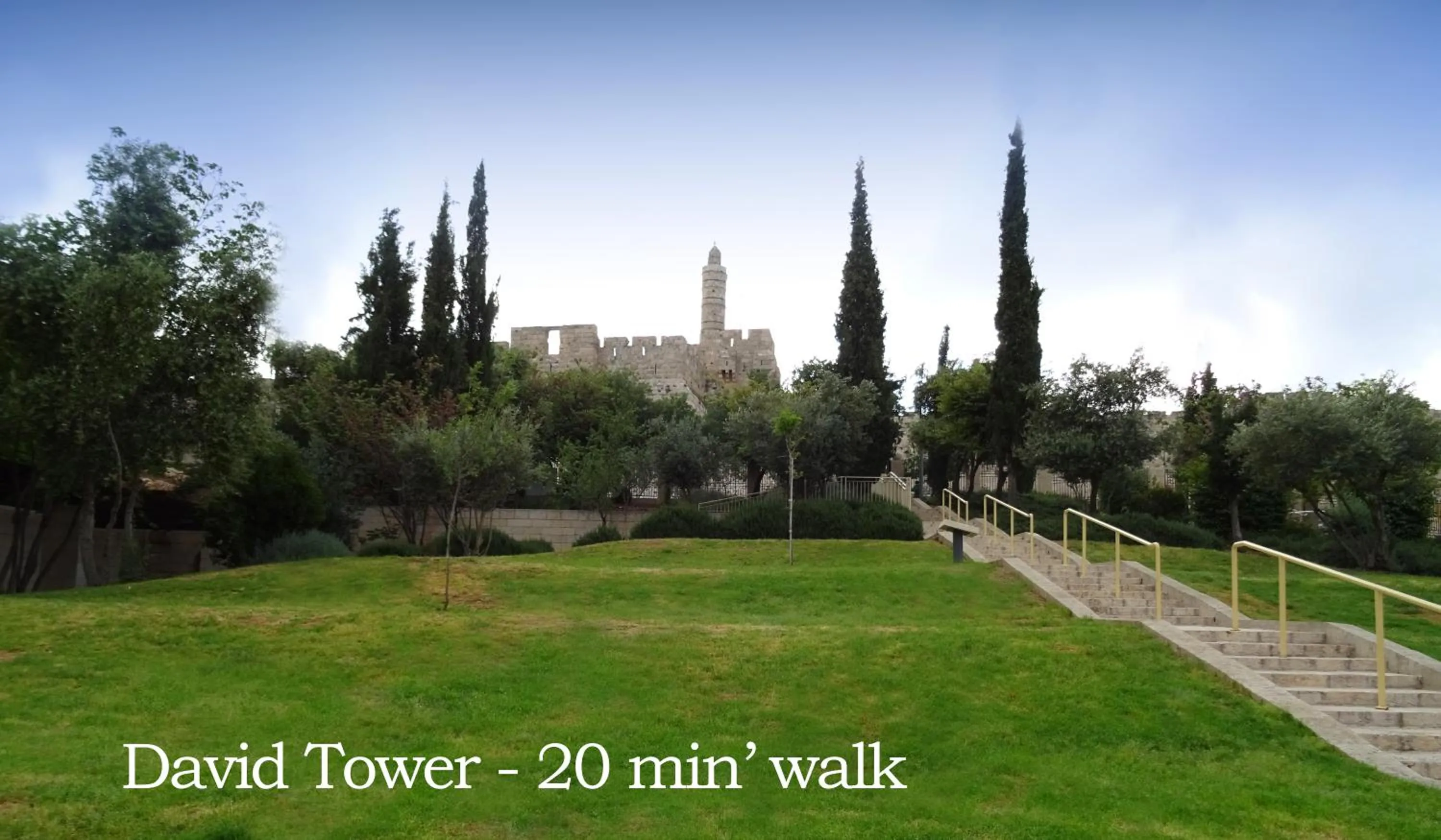 Garden in The Colony Hotel