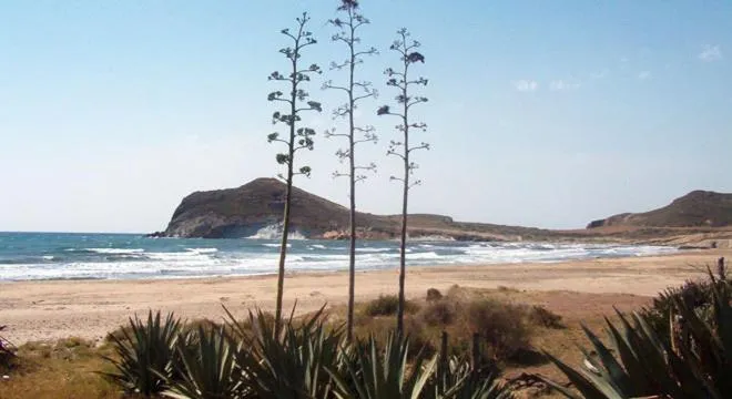 Nearby landmark in Cortijo Torreblanca Casa Rural Parque Natural Cabo de Gata