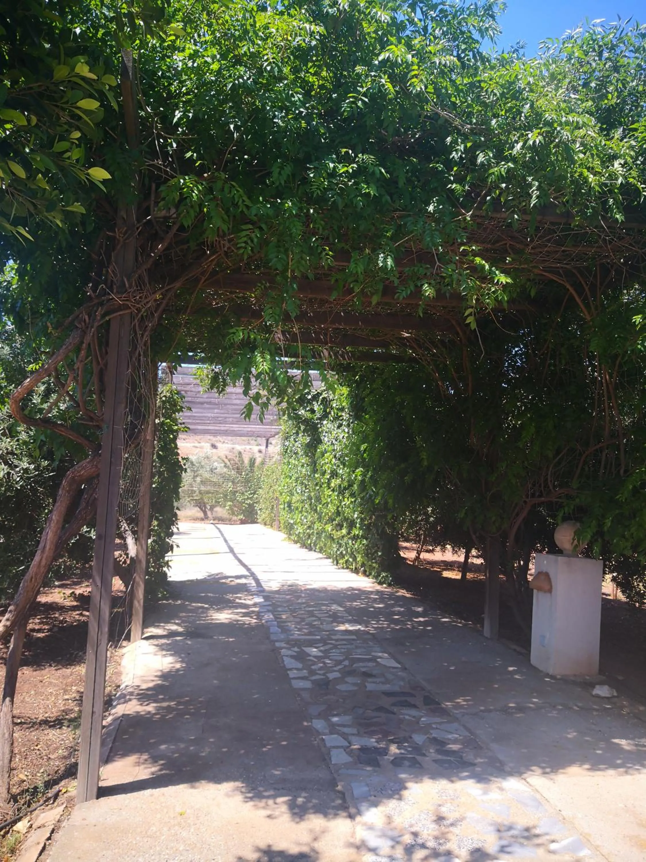 Garden view in Cortijo Torreblanca Casa Rural Parque Natural Cabo de Gata