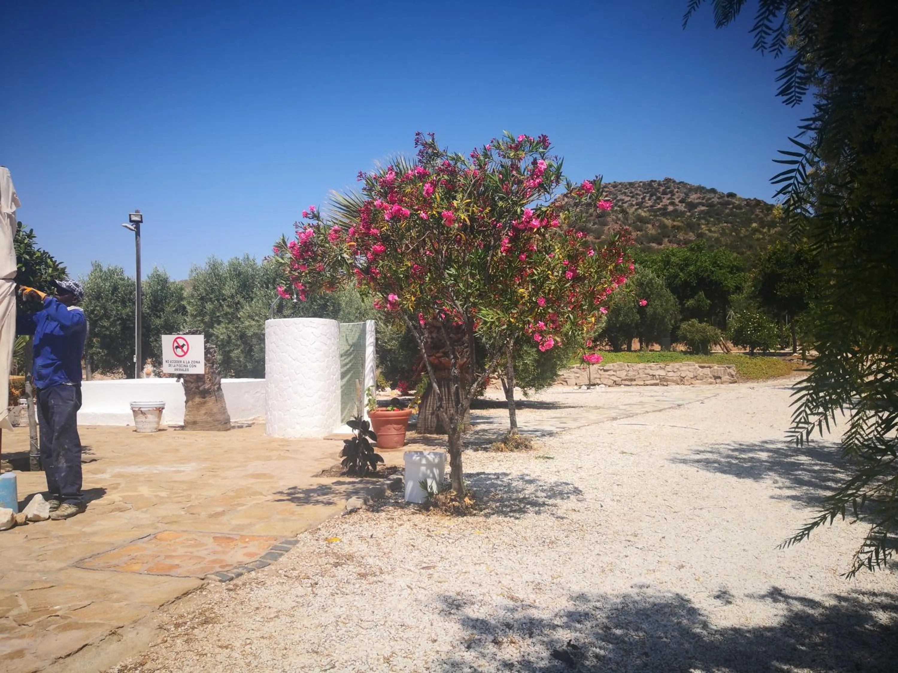 Cortijo Torreblanca Casa Rural Parque Natural Cabo de Gata