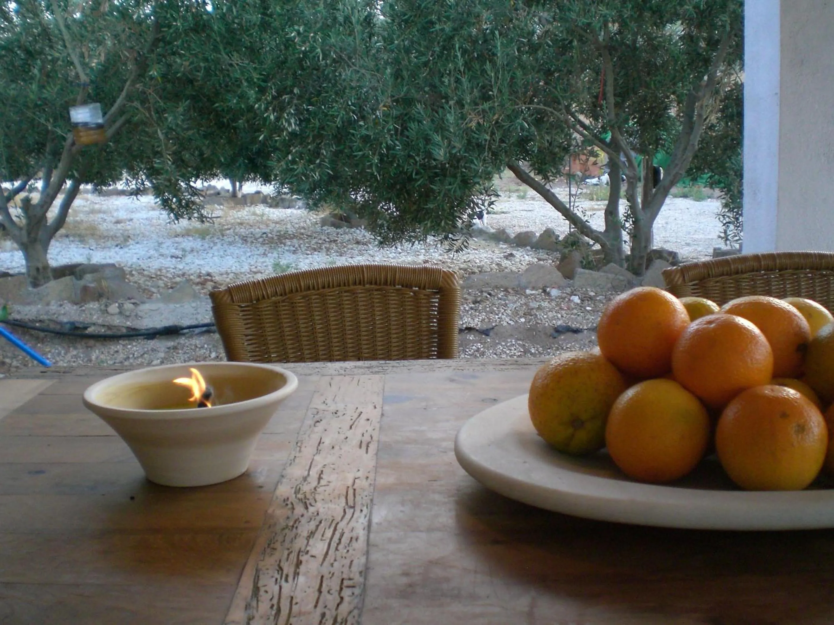 Balcony/Terrace in Cortijo Torreblanca Casa Rural Parque Natural Cabo de Gata