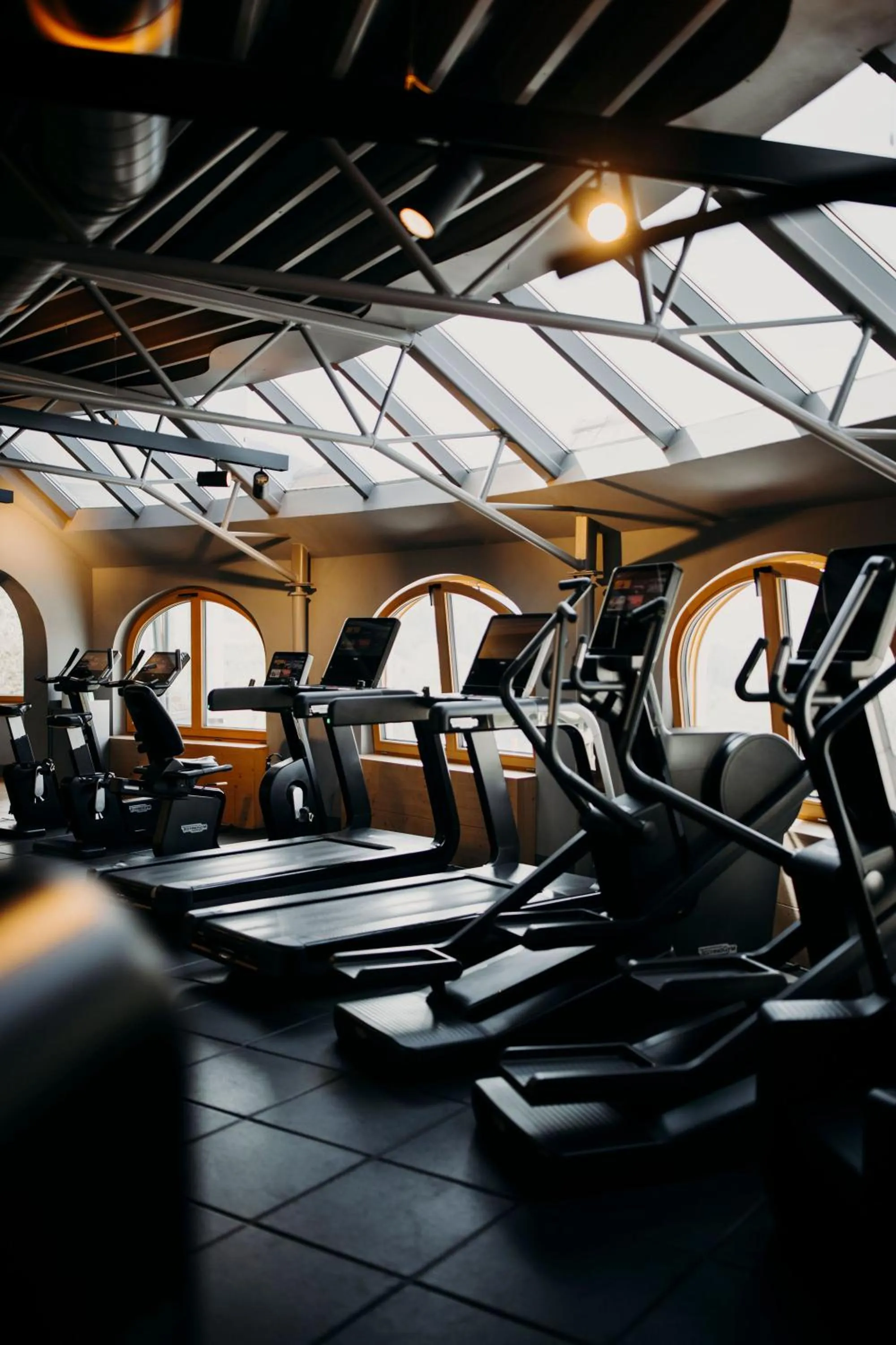 Fitness centre/facilities in Alpina Alpendorf