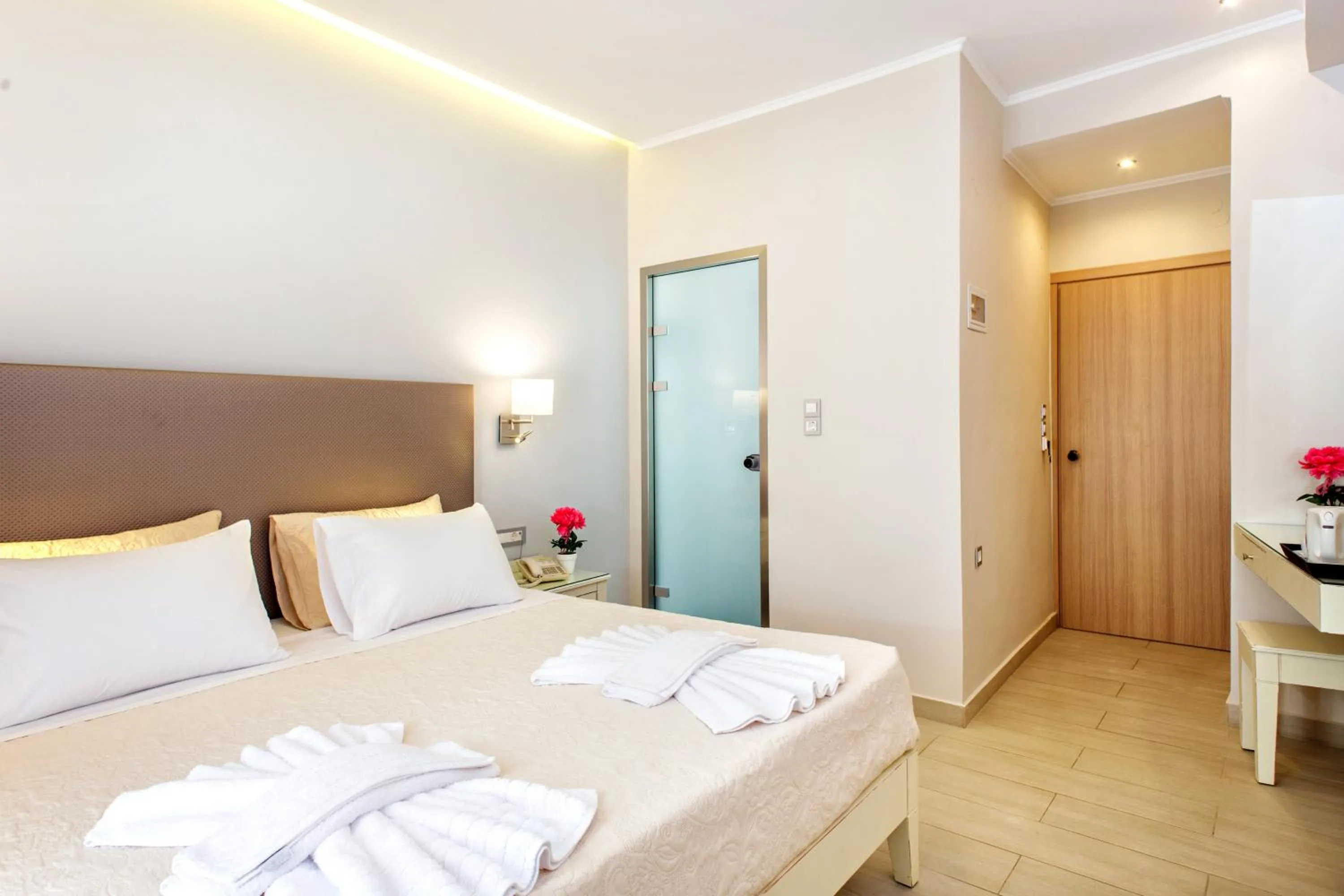 Shower in Hotel Ideon