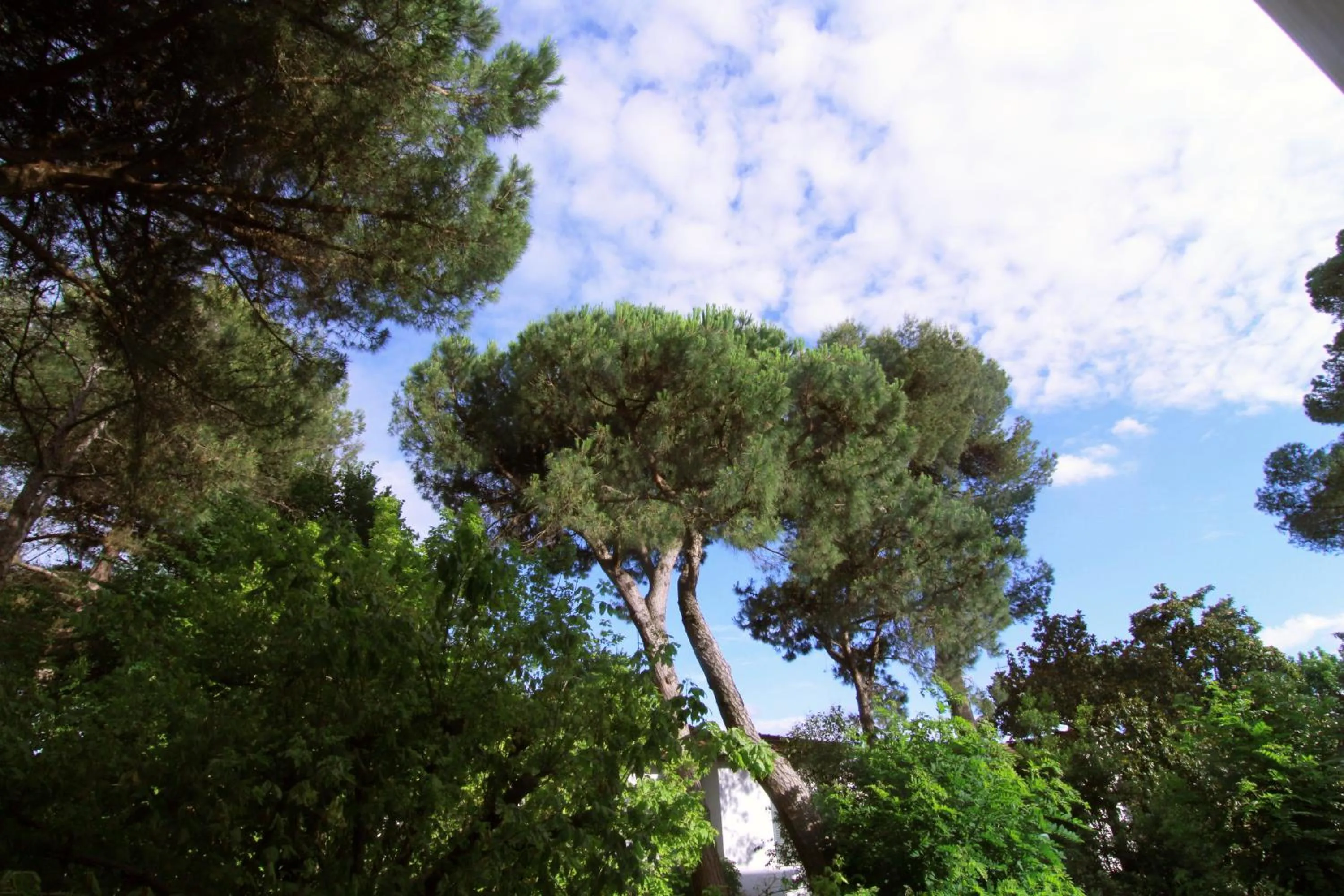 View (from property/room) in Hotel Garni Picnic