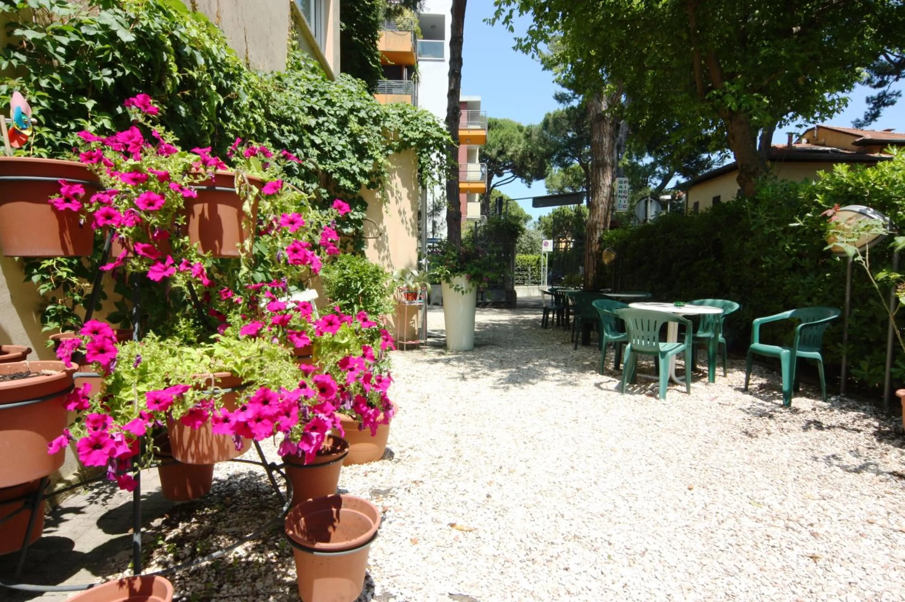 Garden in Hotel Garni Picnic