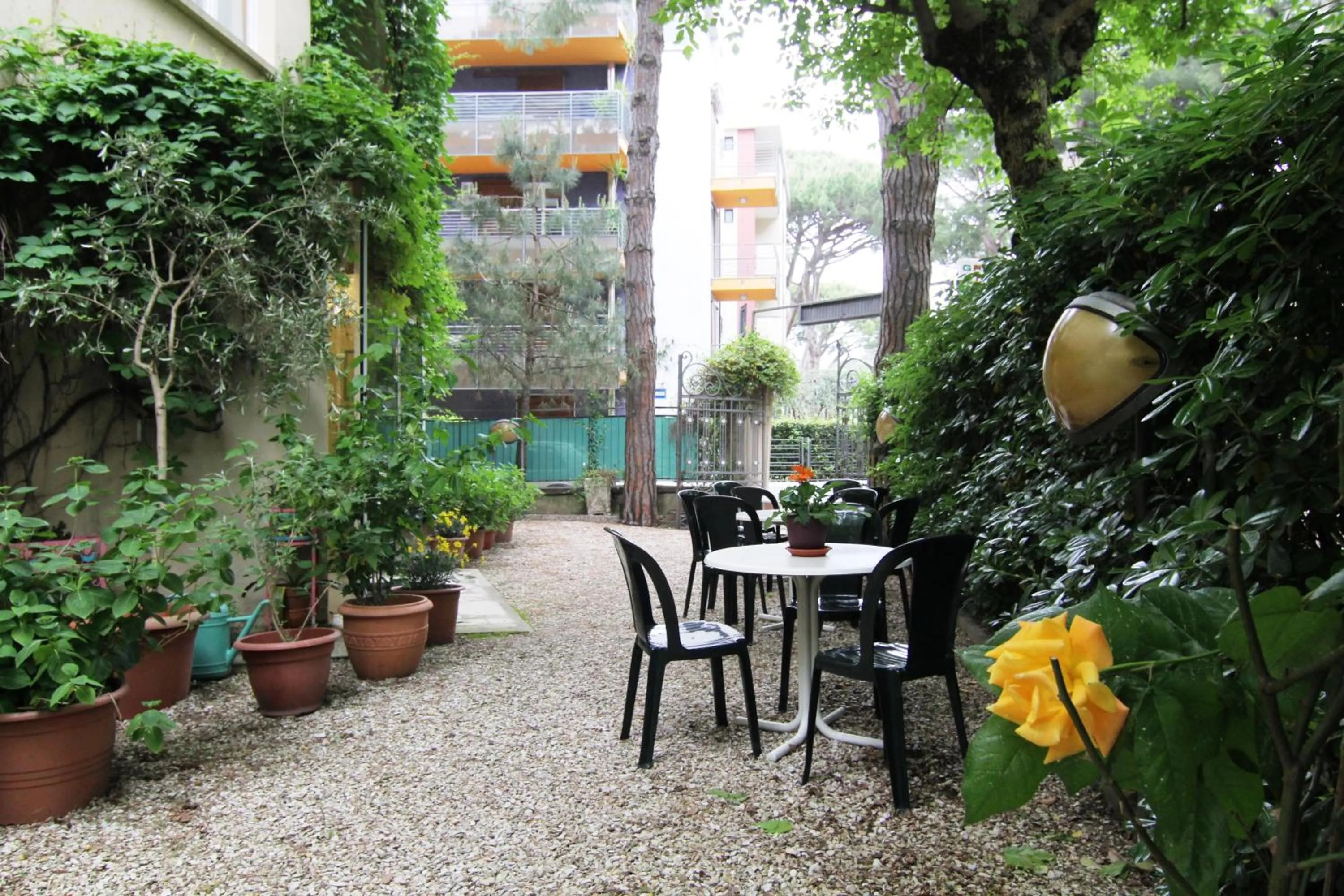 Garden in Hotel Garni Picnic