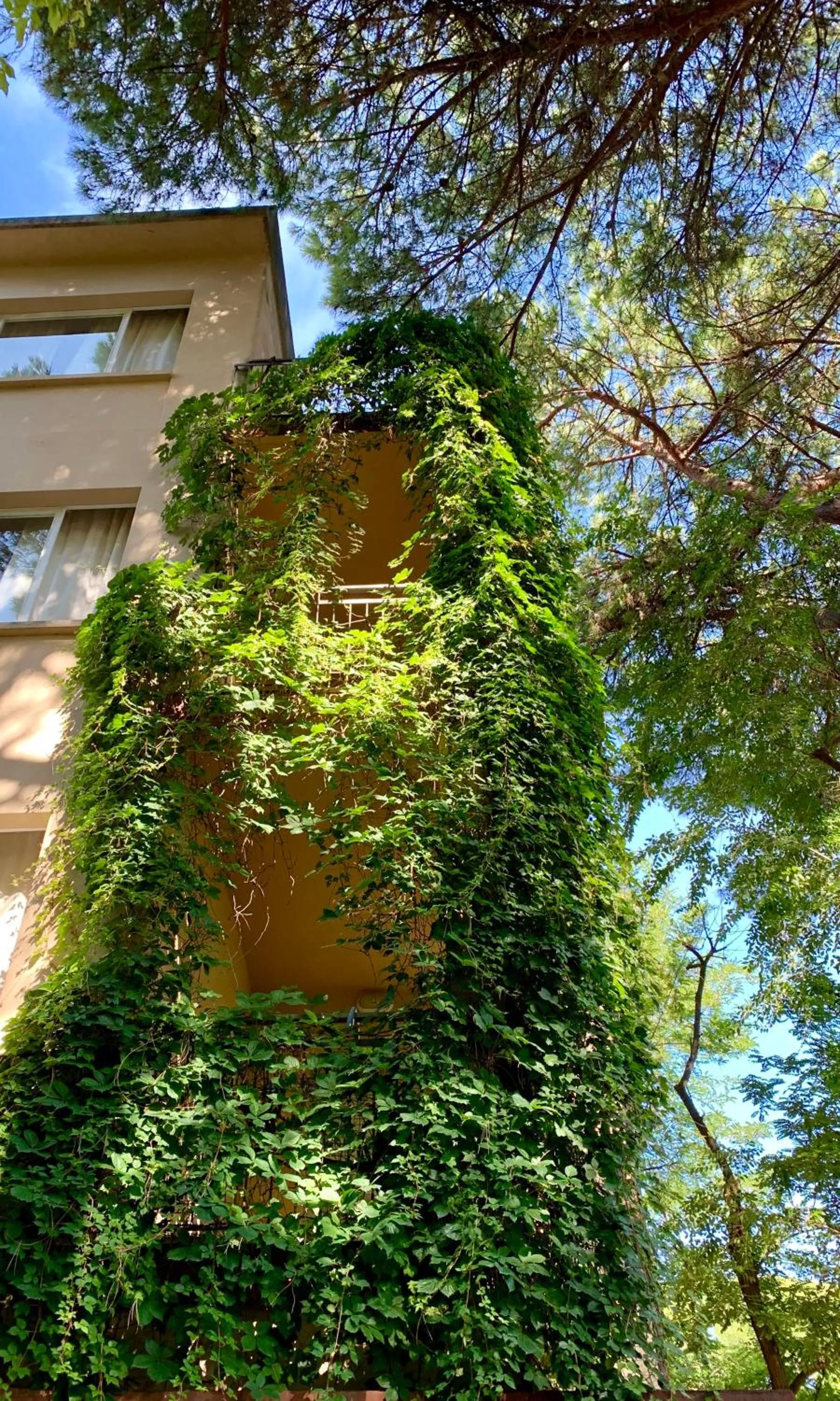 Property building in Hotel Garni Picnic