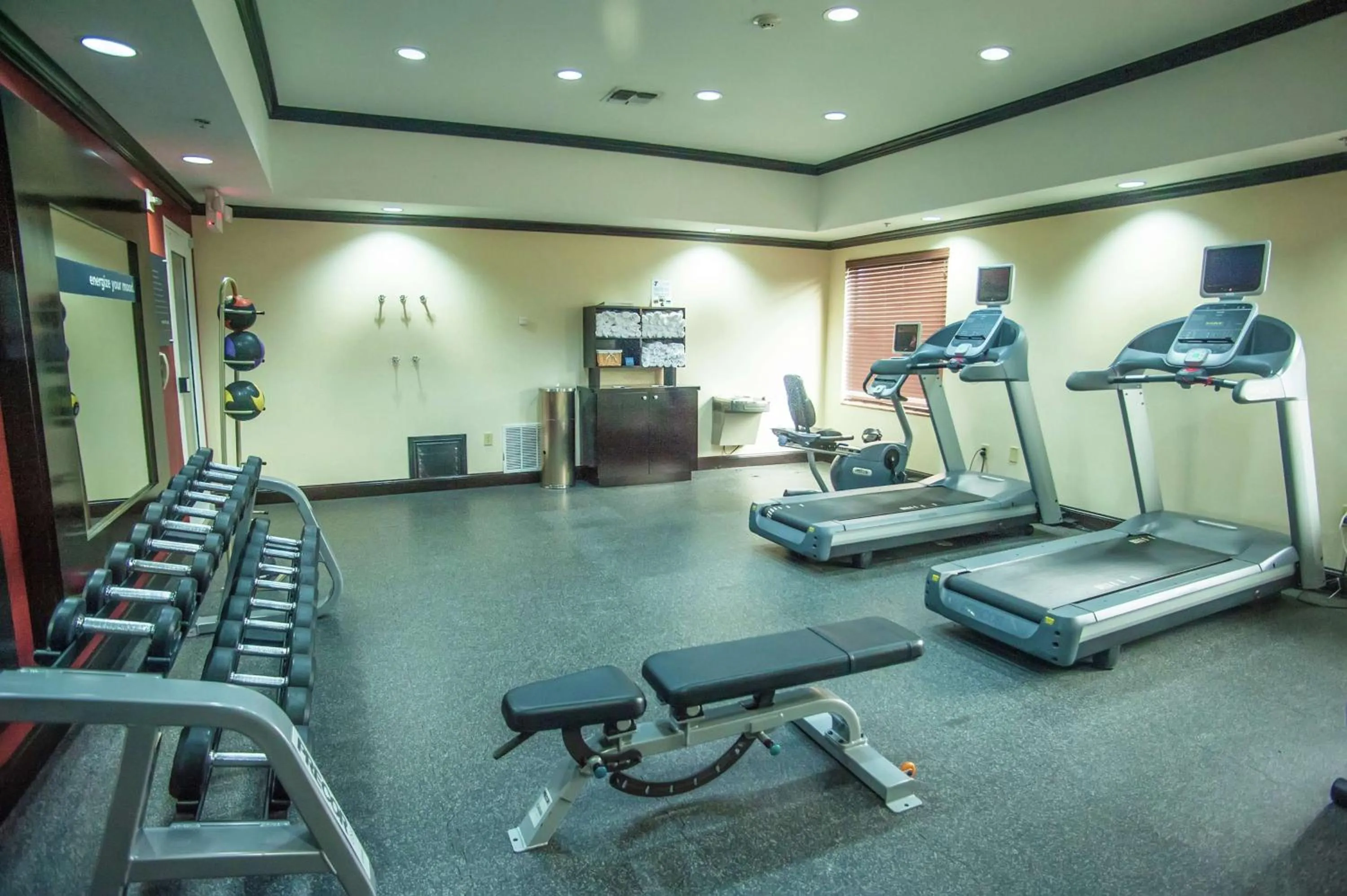 Fitness centre/facilities in Hampton Inn & Suites Palestine
