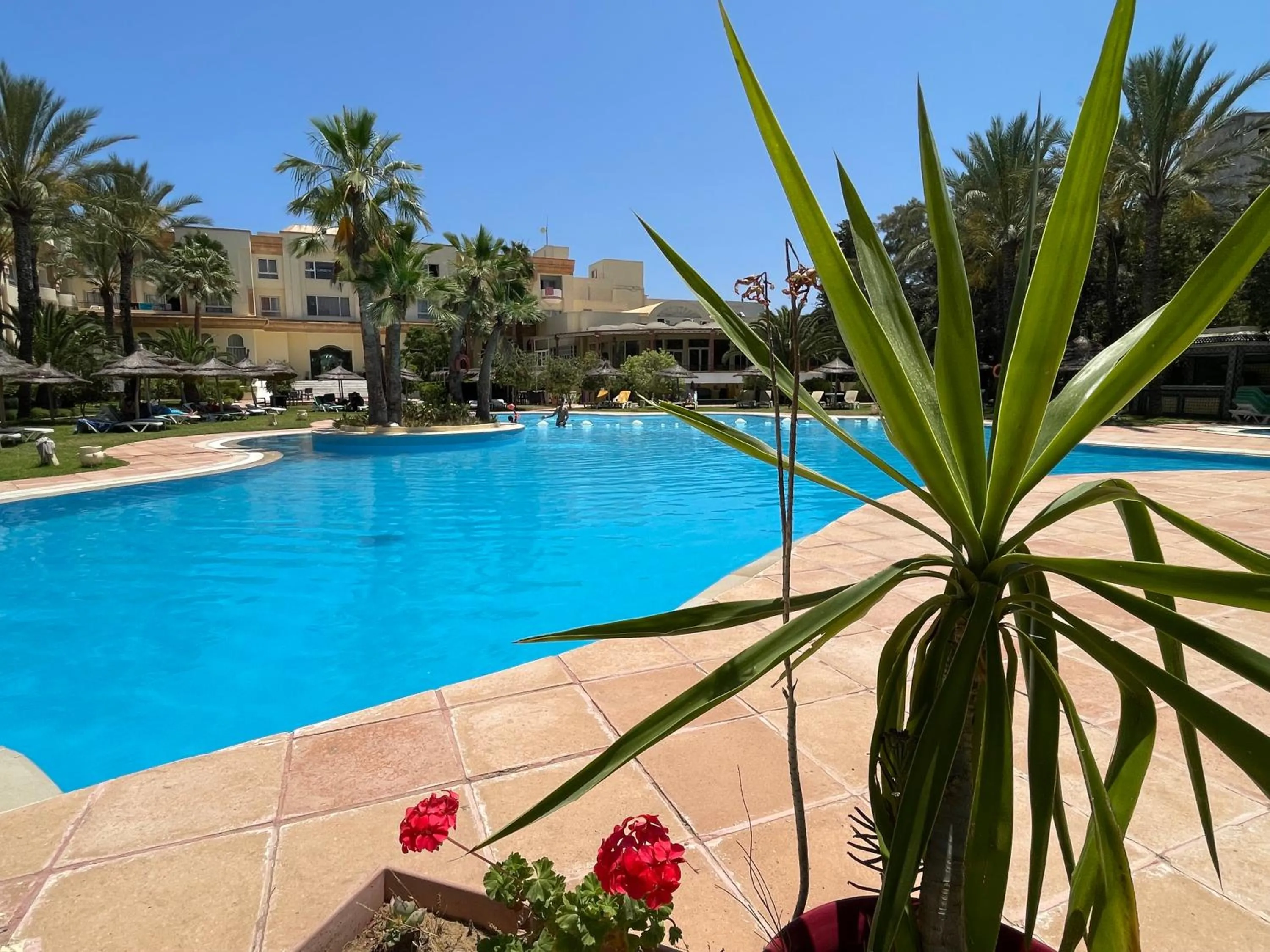 Swimming pool in Marina Palace