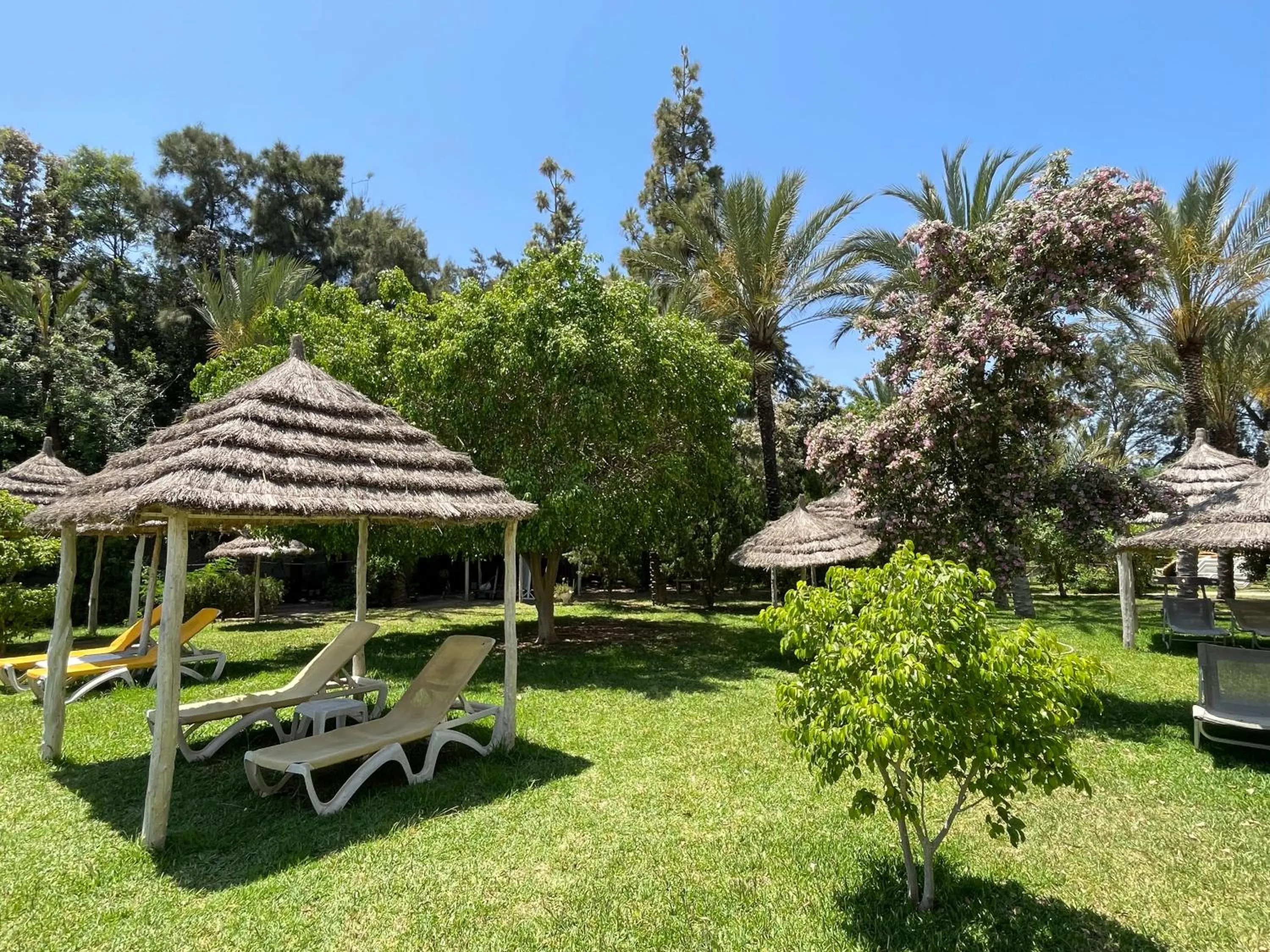 Entertainment in Marina Palace