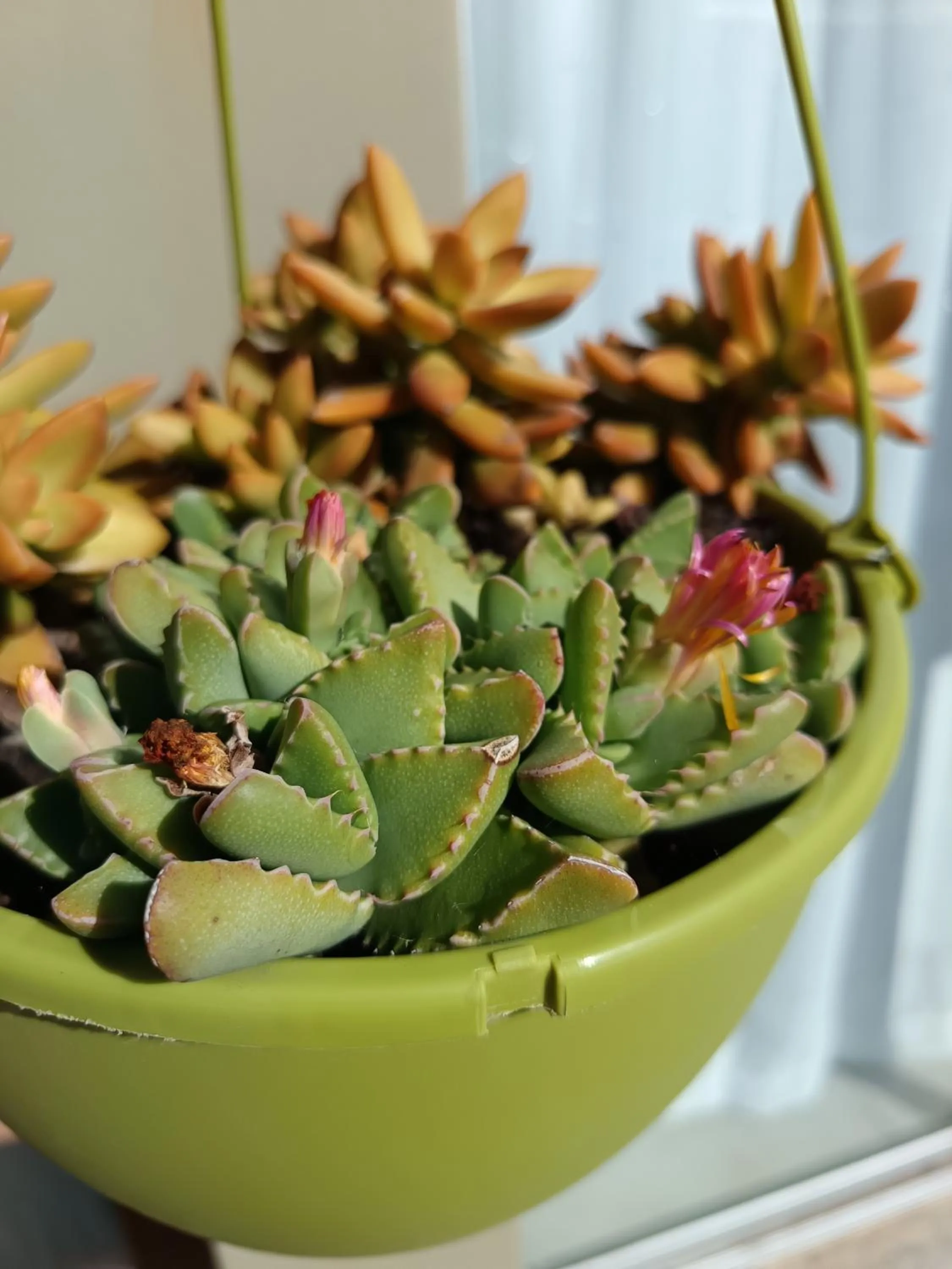 Bluewater Guesthouse