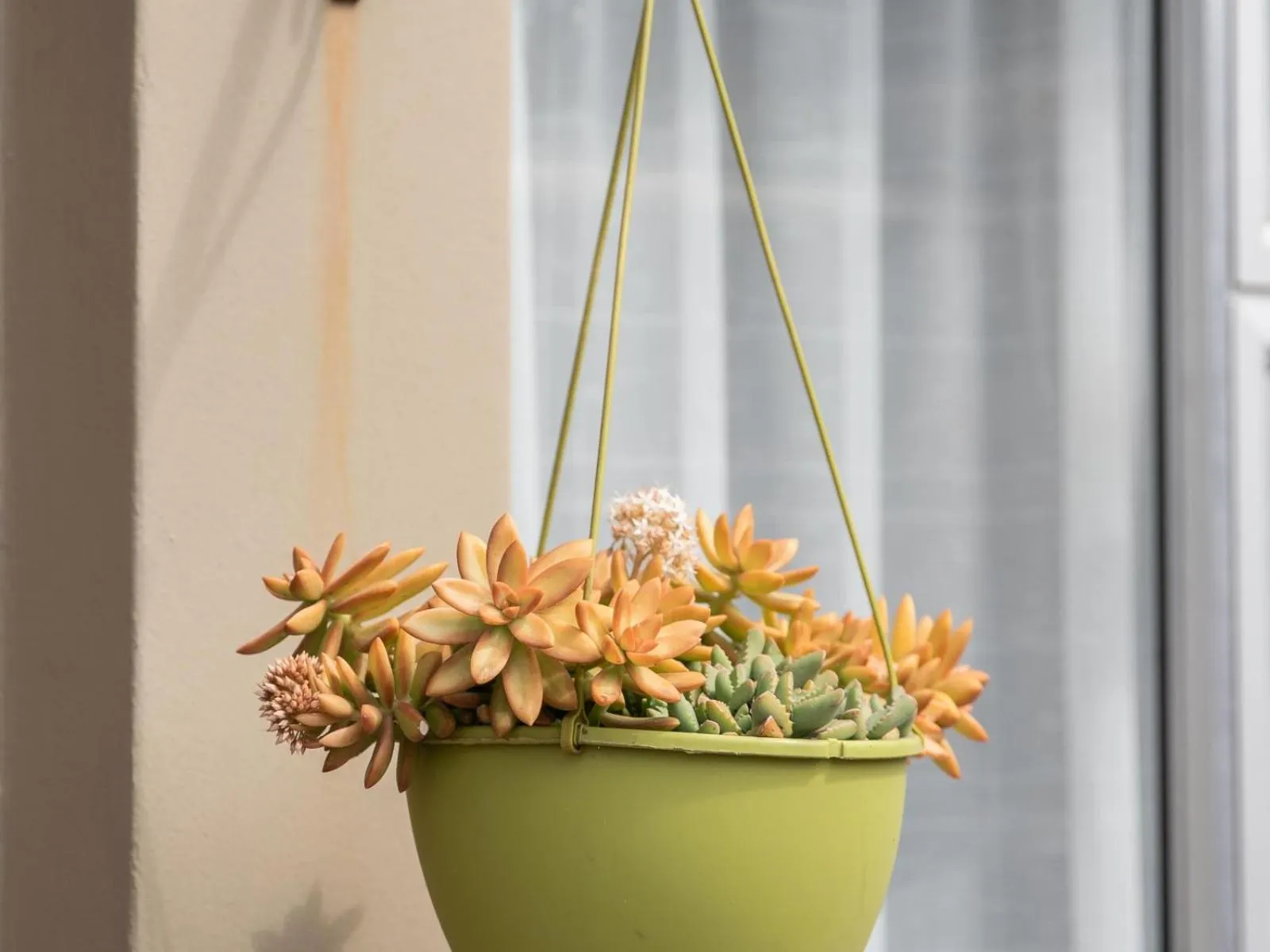 Facade/entrance in Bluewater Guesthouse