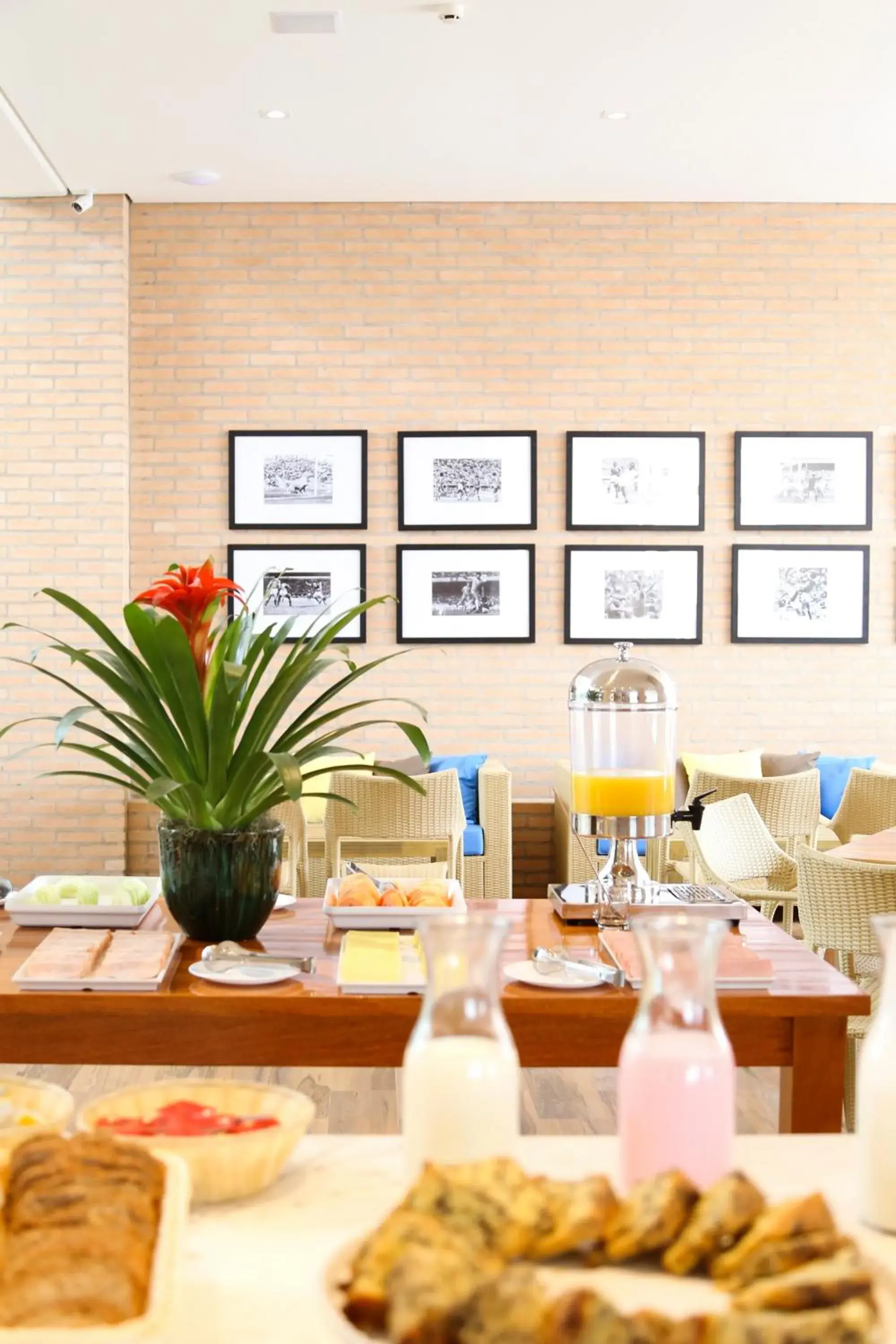 Breakfast in Vitória Hotel Express Dom Pedro Breakfast in Vitória Hotel Express Dom Pedro