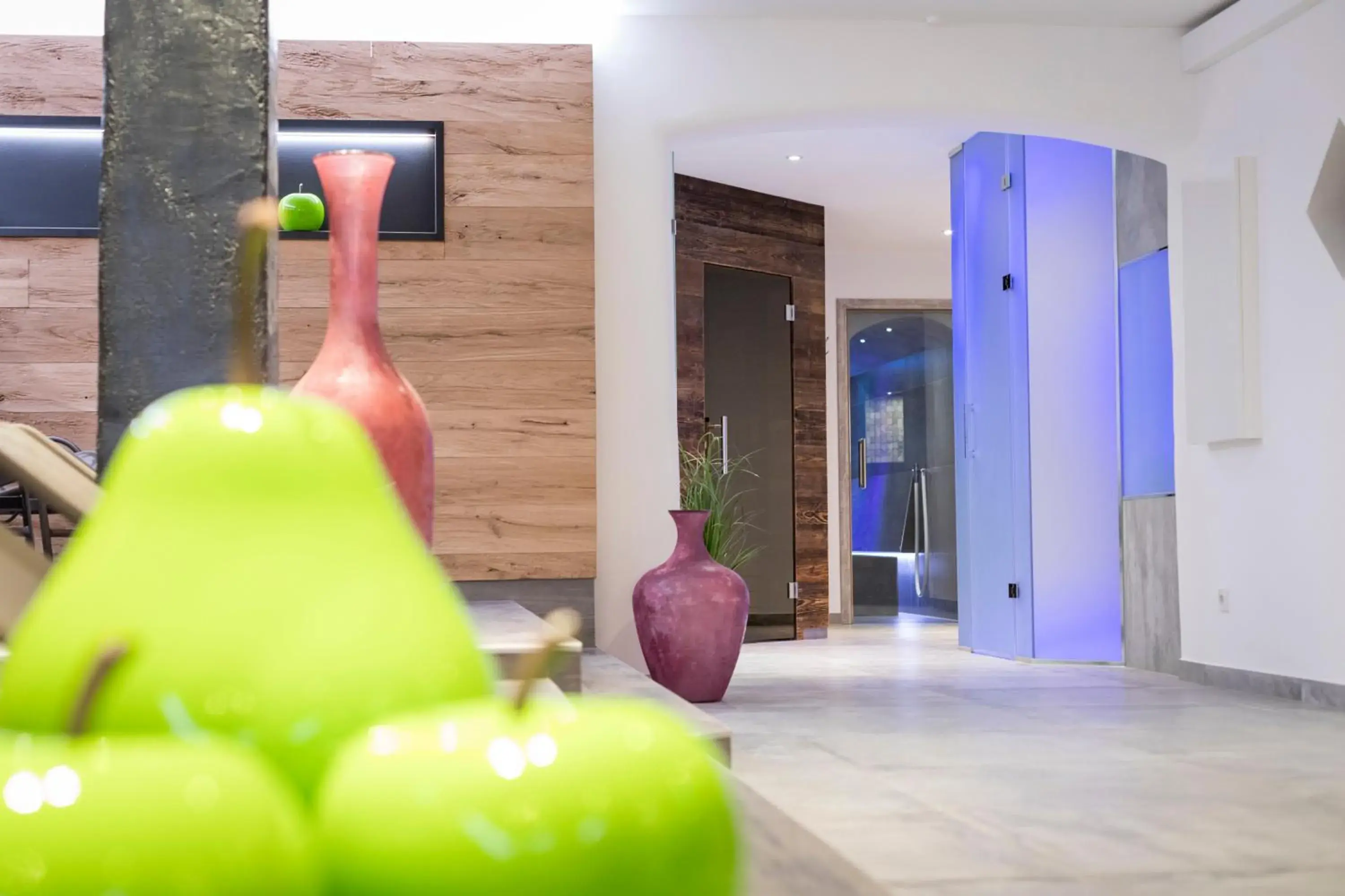 Spa and wellness centre/facilities in Hotel Flachauerhof Spa and wellness centre/facilities in Hotel Flachauerhof