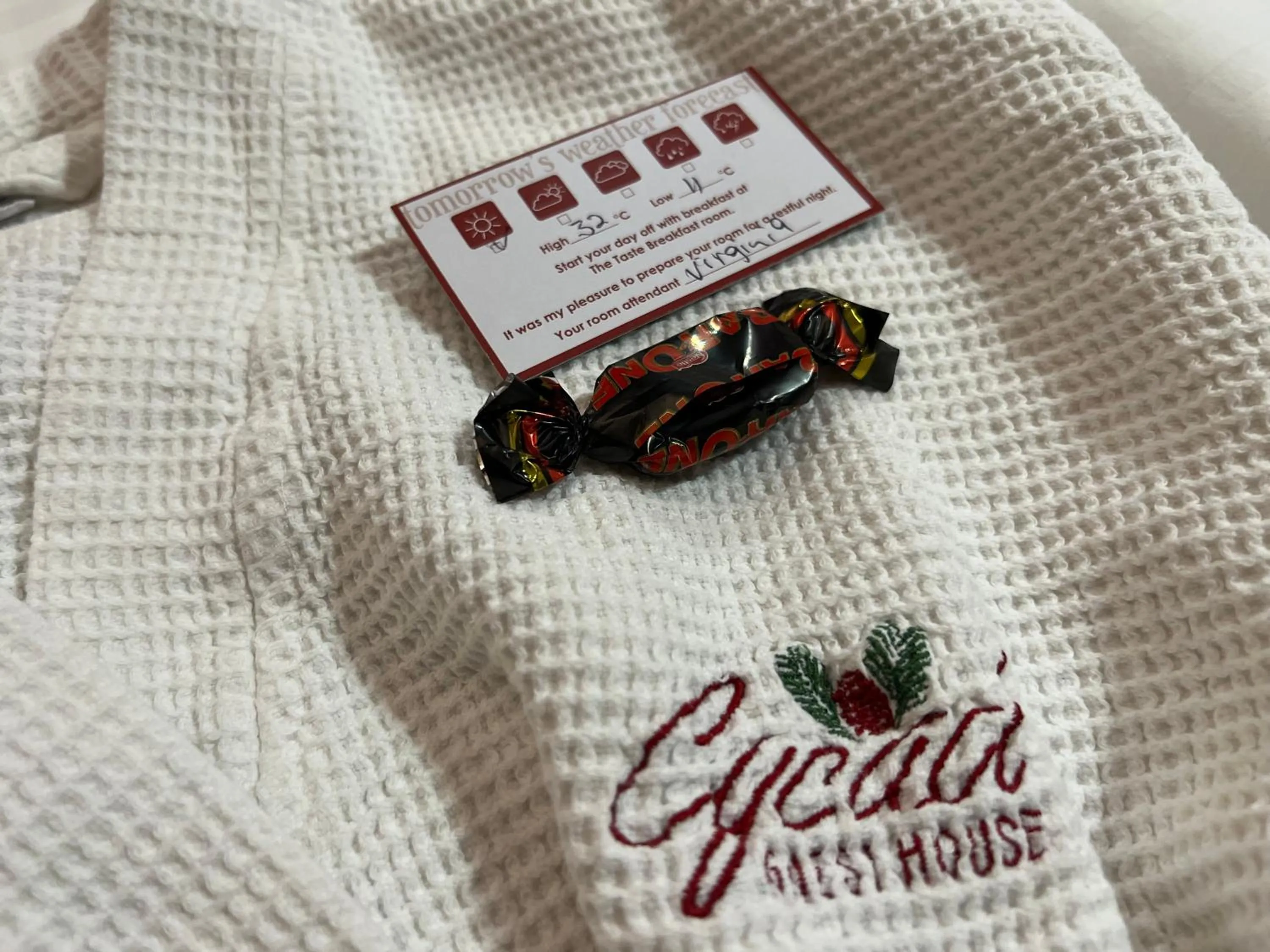 Property logo or sign in Cycad Guest House