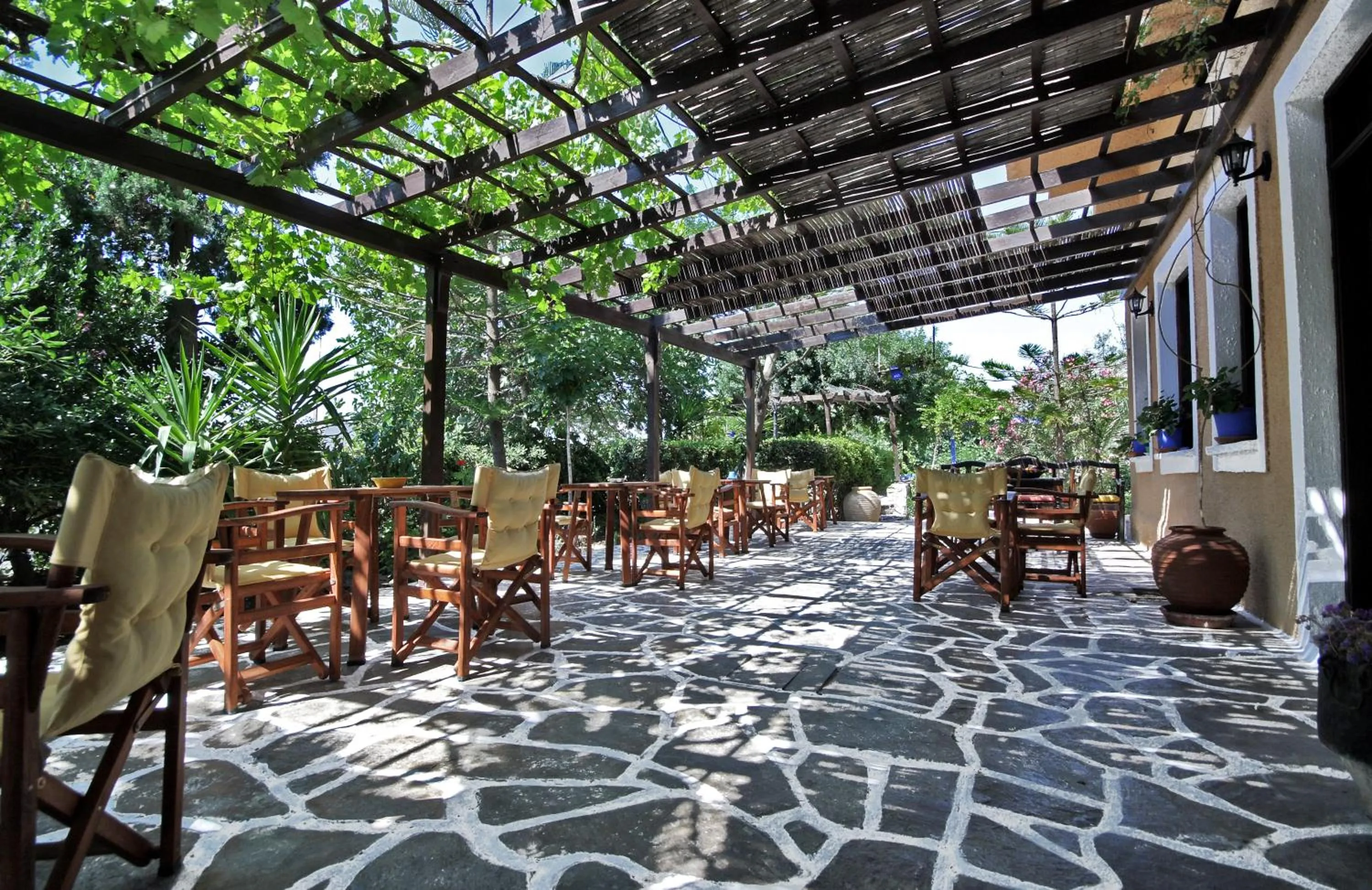 Garden in Vagia Traditional, Aegina Island