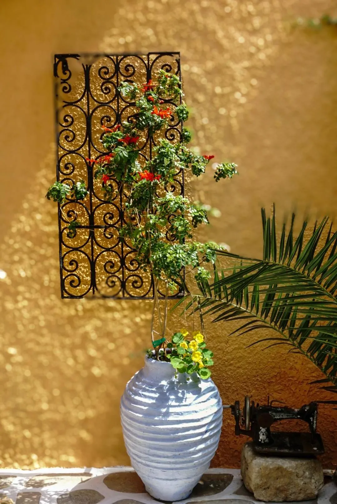 Garden in Vagia Traditional, Aegina Island