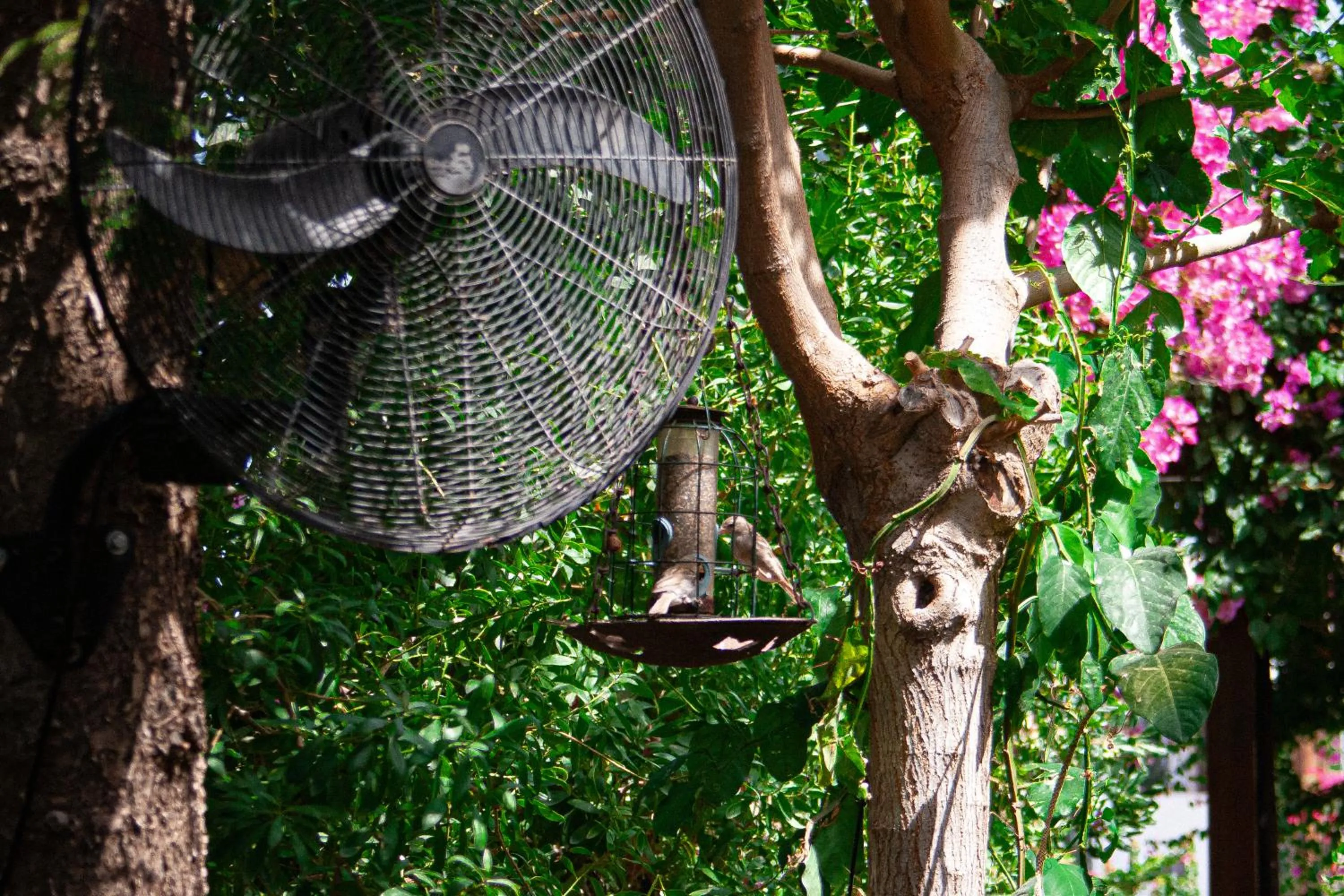 Property building in Vagia Traditional, Aegina Island