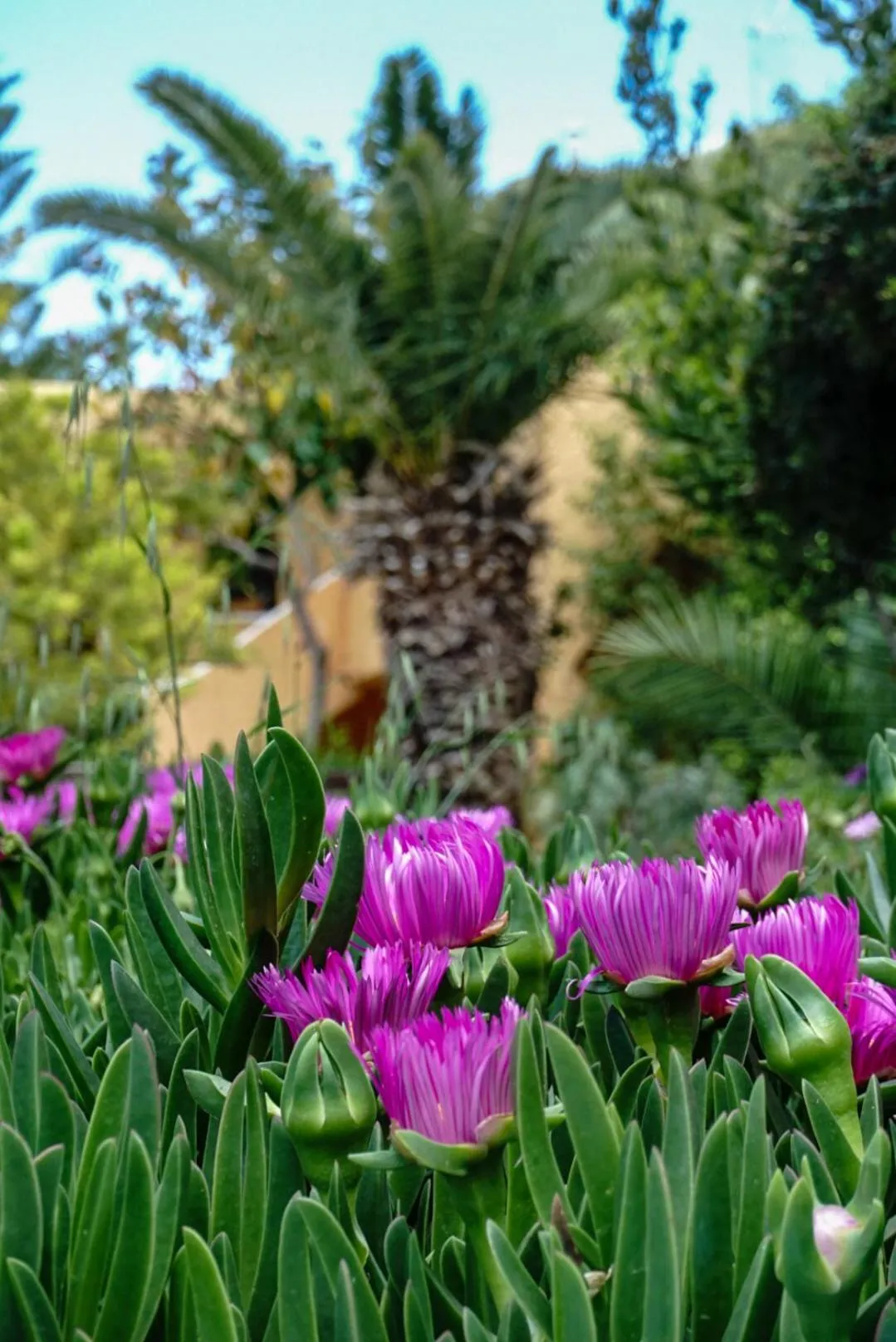 Day in Vagia Traditional, Aegina Island