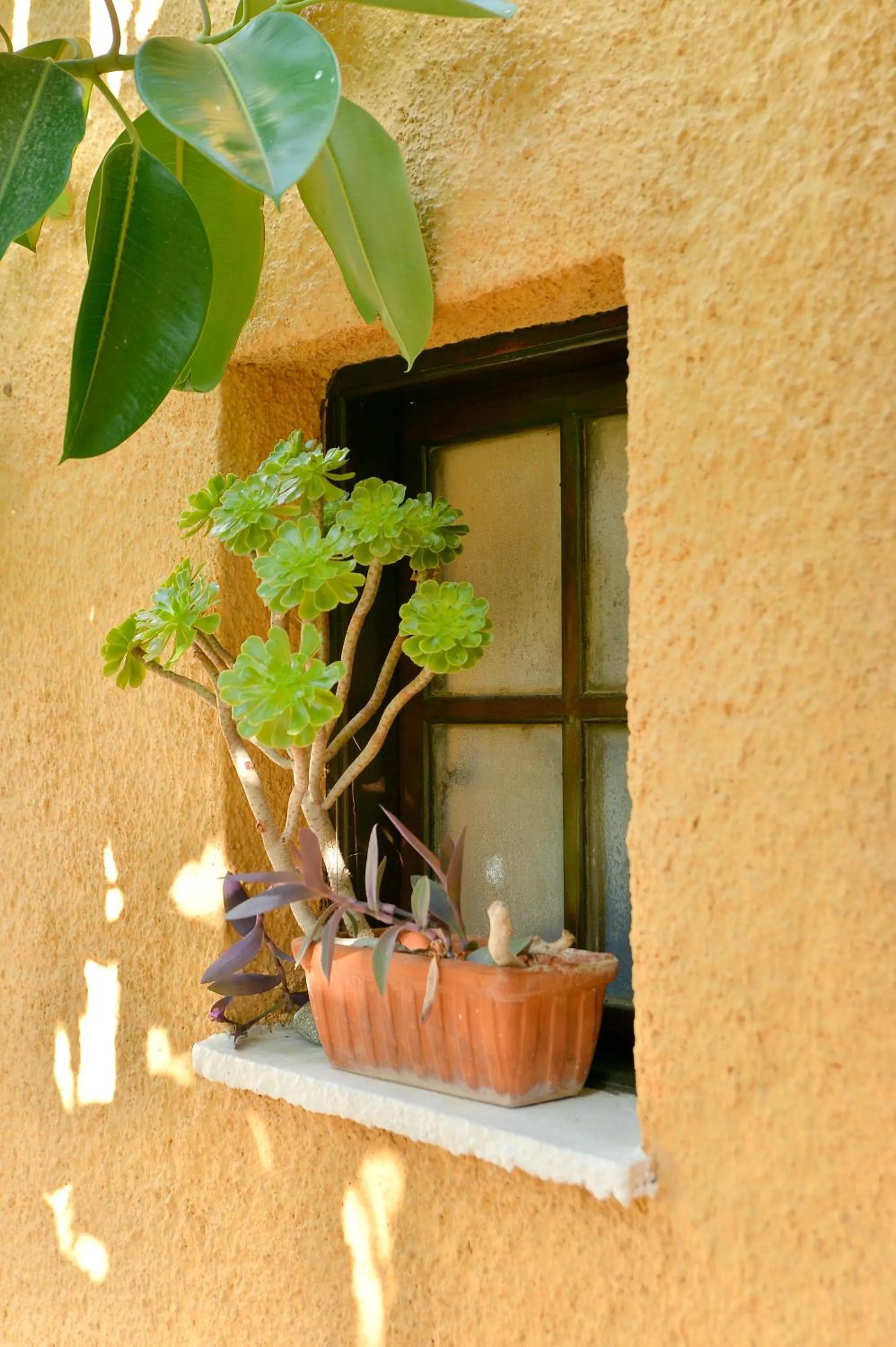 Vagia Traditional, Aegina Island