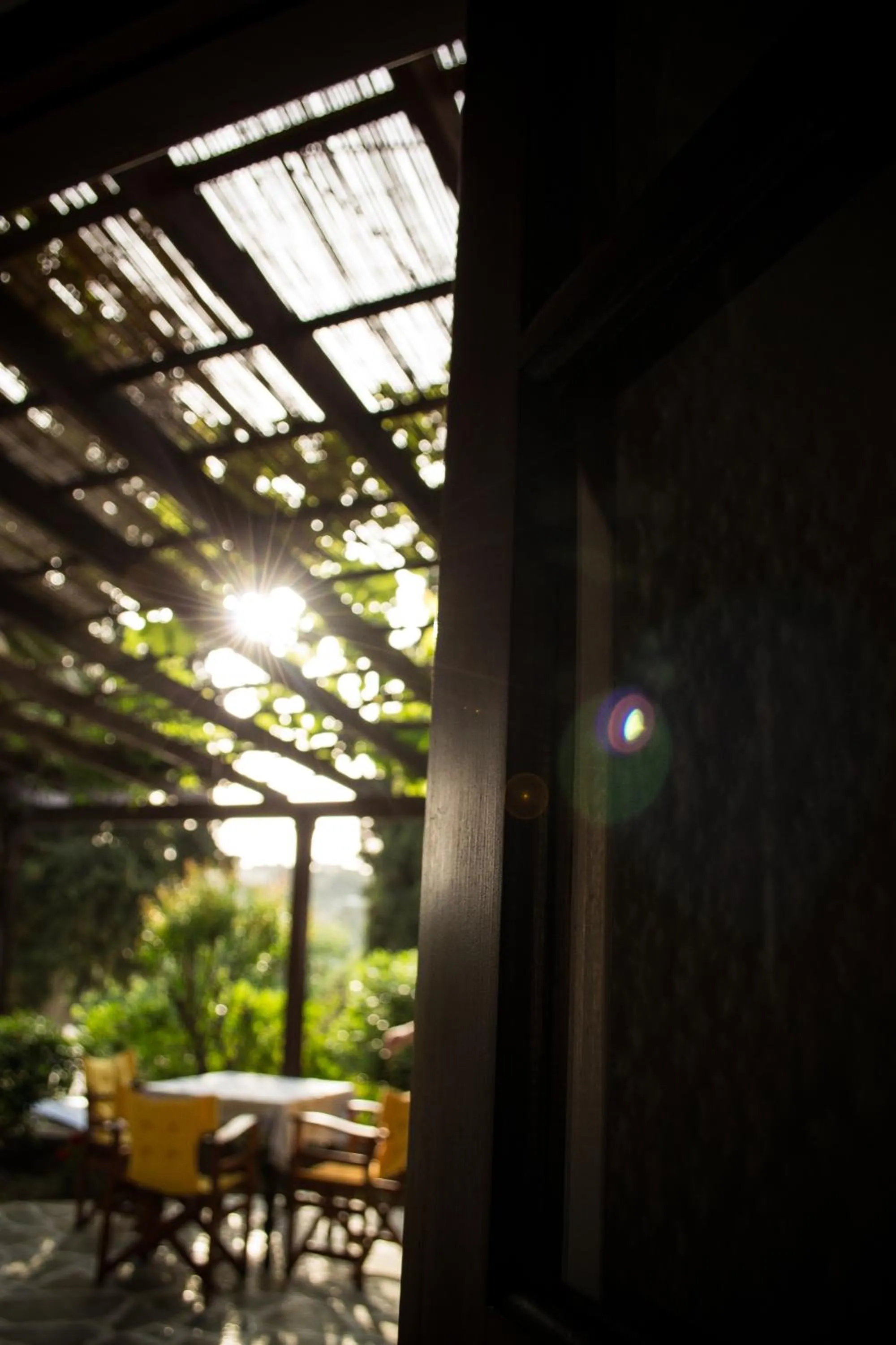 Garden in Vagia Traditional, Aegina Island