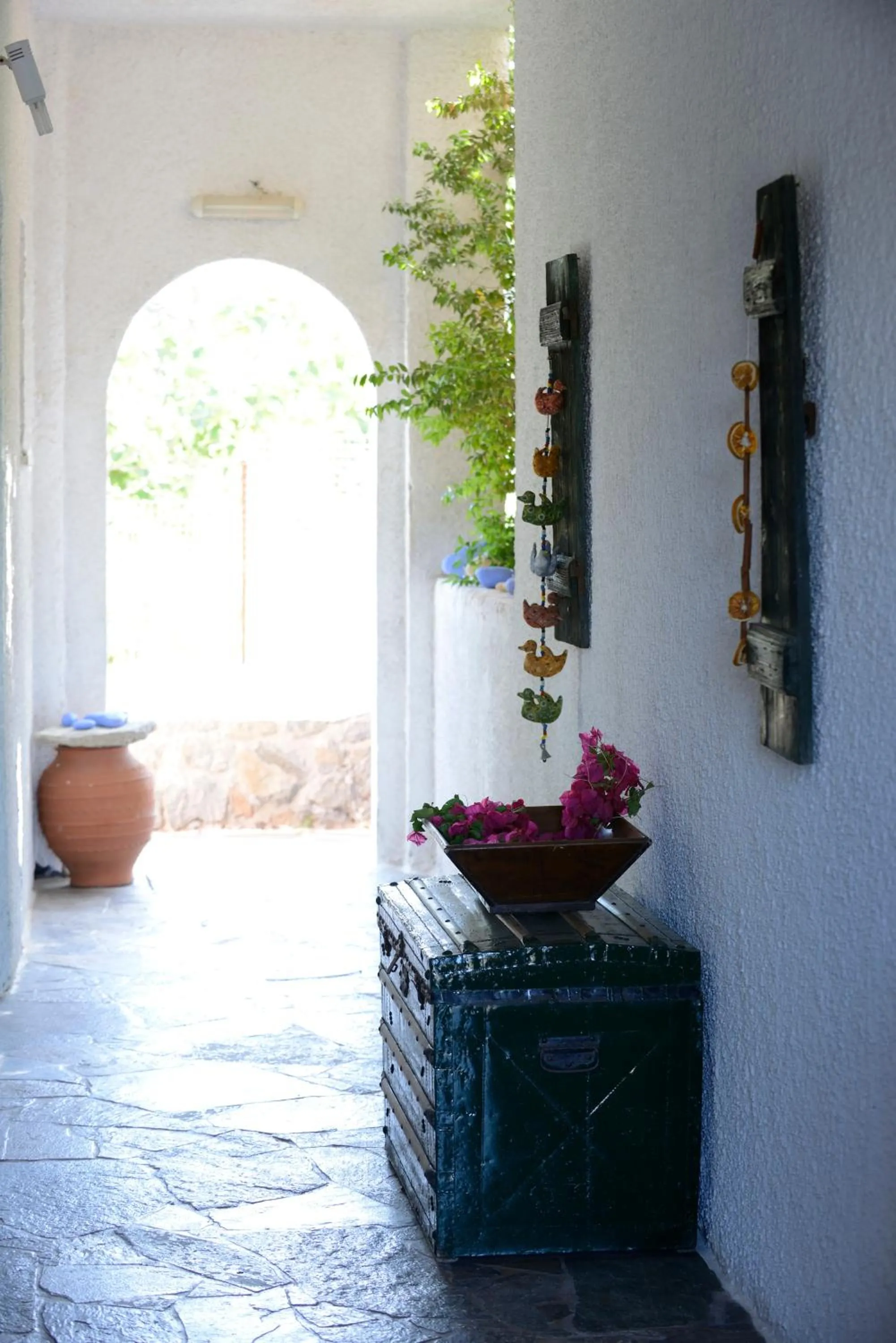 Garden in Vagia Traditional, Aegina Island