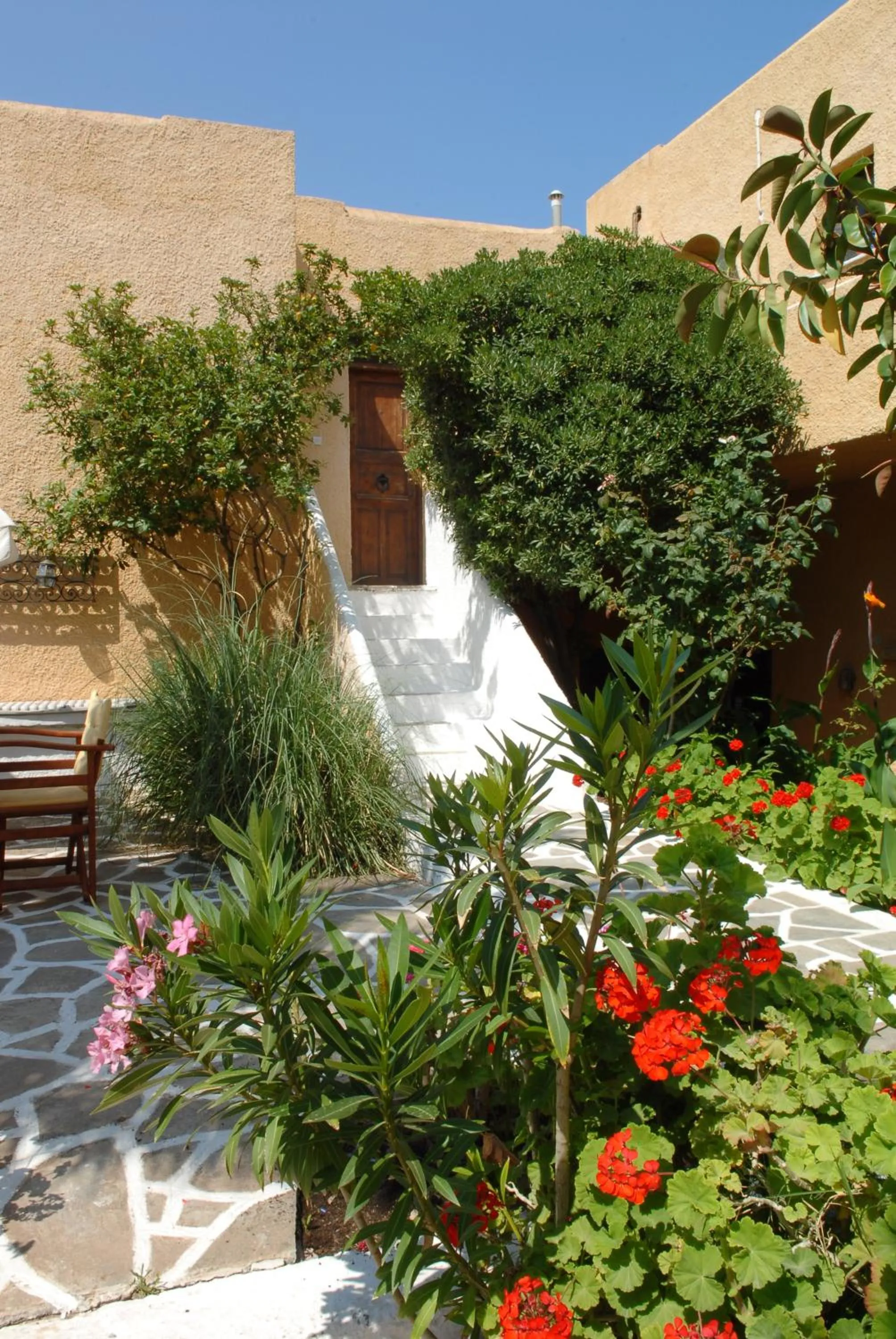 Garden in Vagia Traditional, Aegina Island