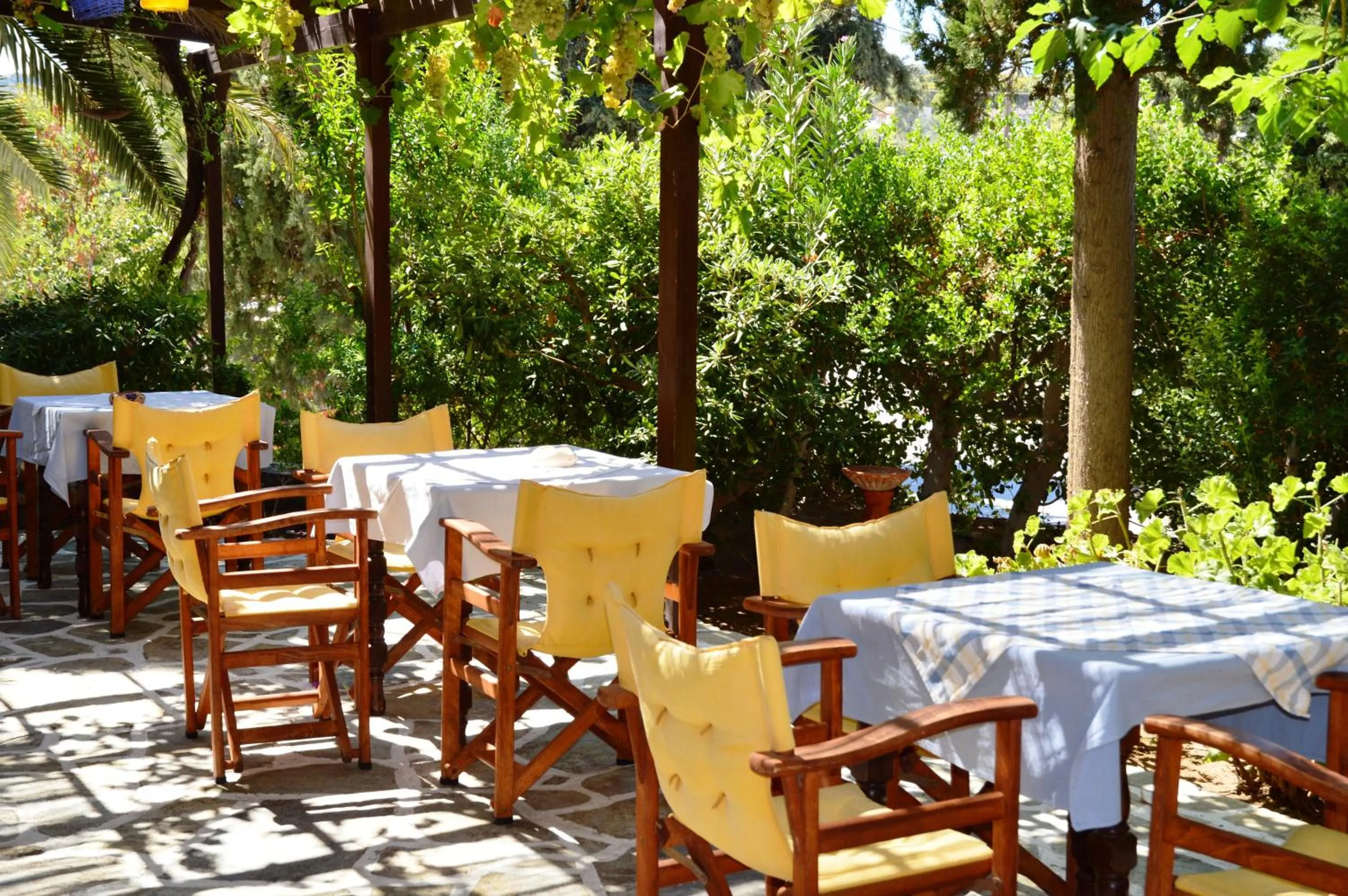 Garden in Vagia Traditional, Aegina Island