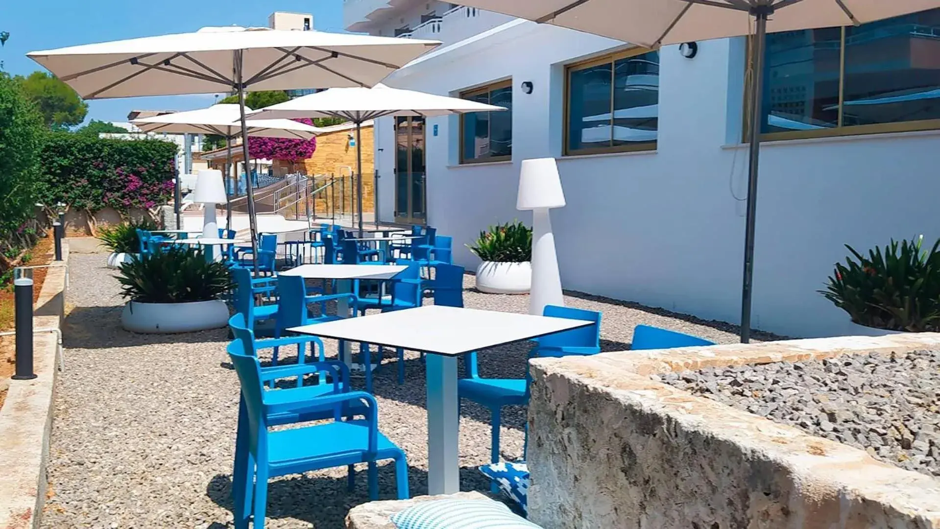 Restaurant/places to eat in BLUESEA Don Jaime Restaurant/places to eat in BLUESEA Don Jaime