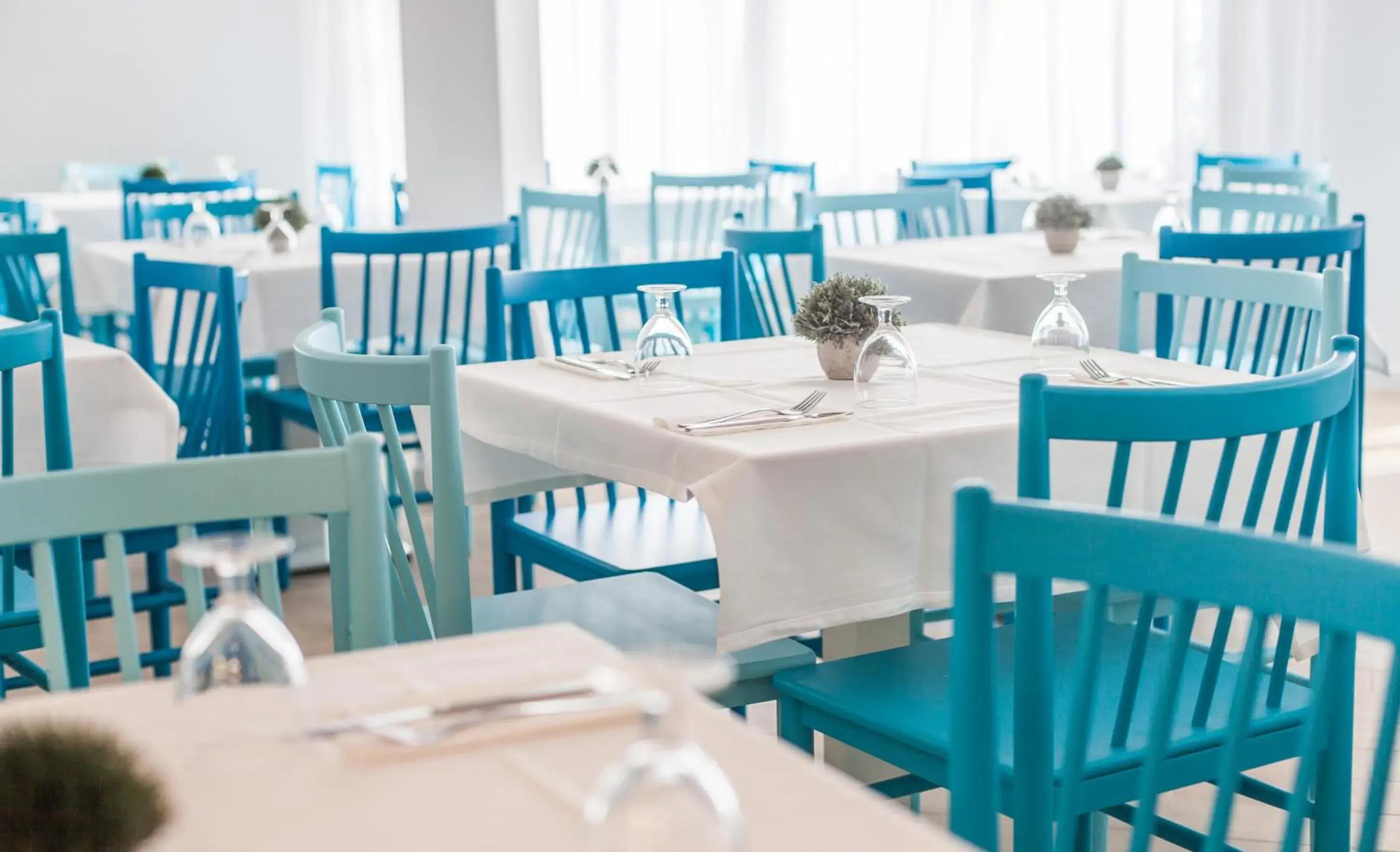 Restaurant/places to eat in BLUESEA Don Jaime Restaurant/places to eat in BLUESEA Don Jaime