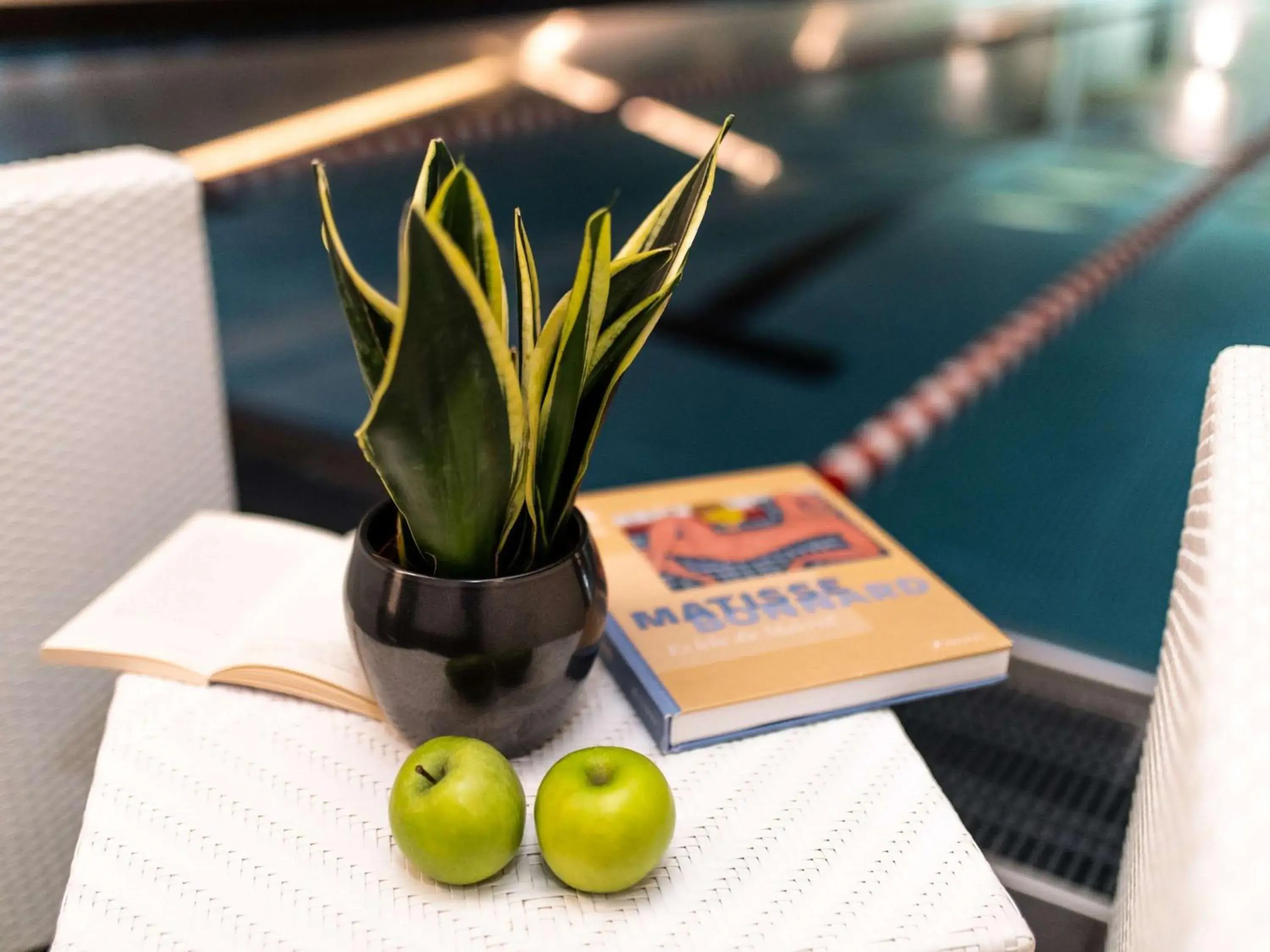 Pool view in Sofitel Frankfurt Opera Pool view in Sofitel Frankfurt Opera