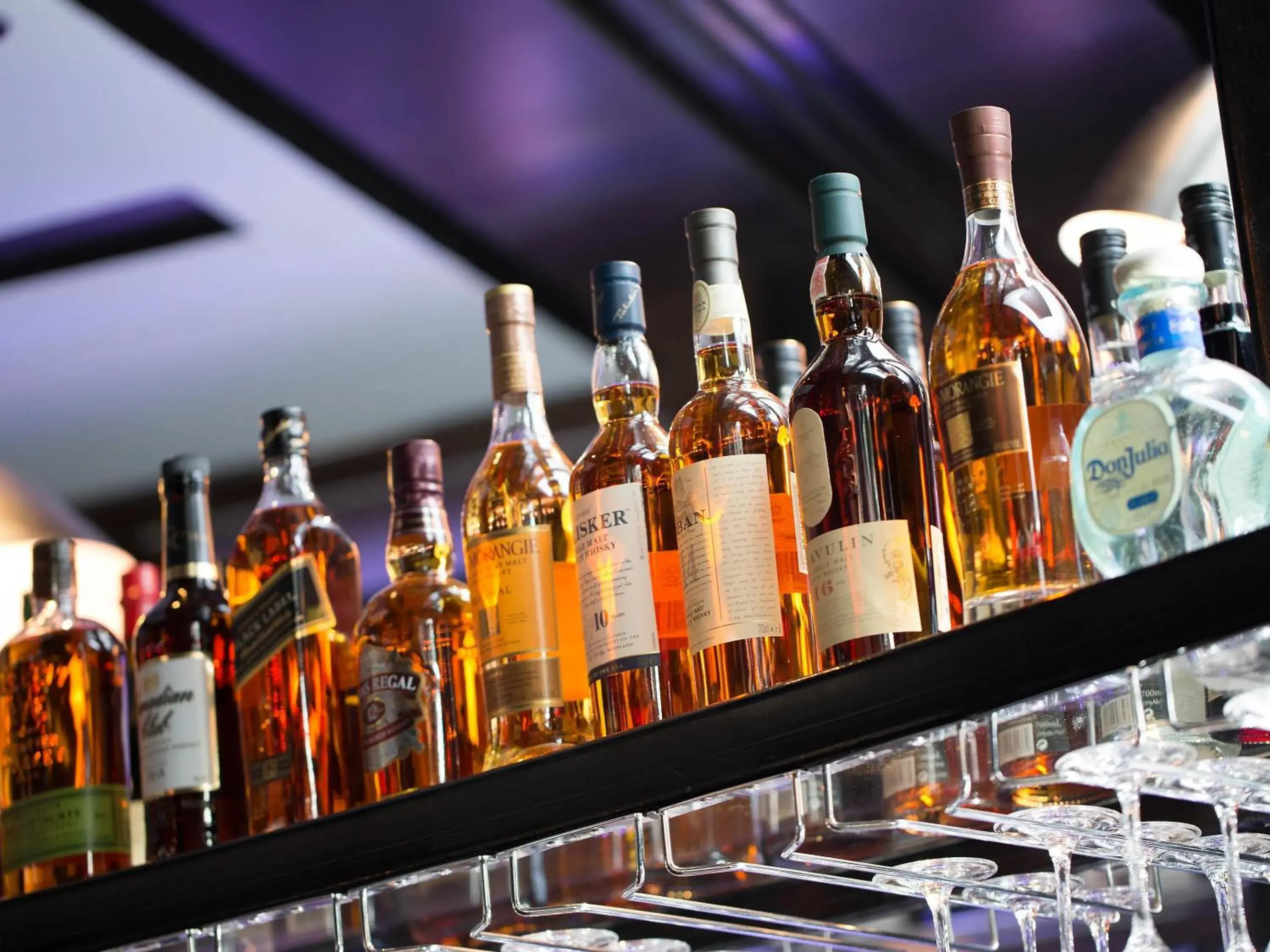 Lounge or bar in Pullman Sydney Airport Lounge or bar in Pullman Sydney Airport