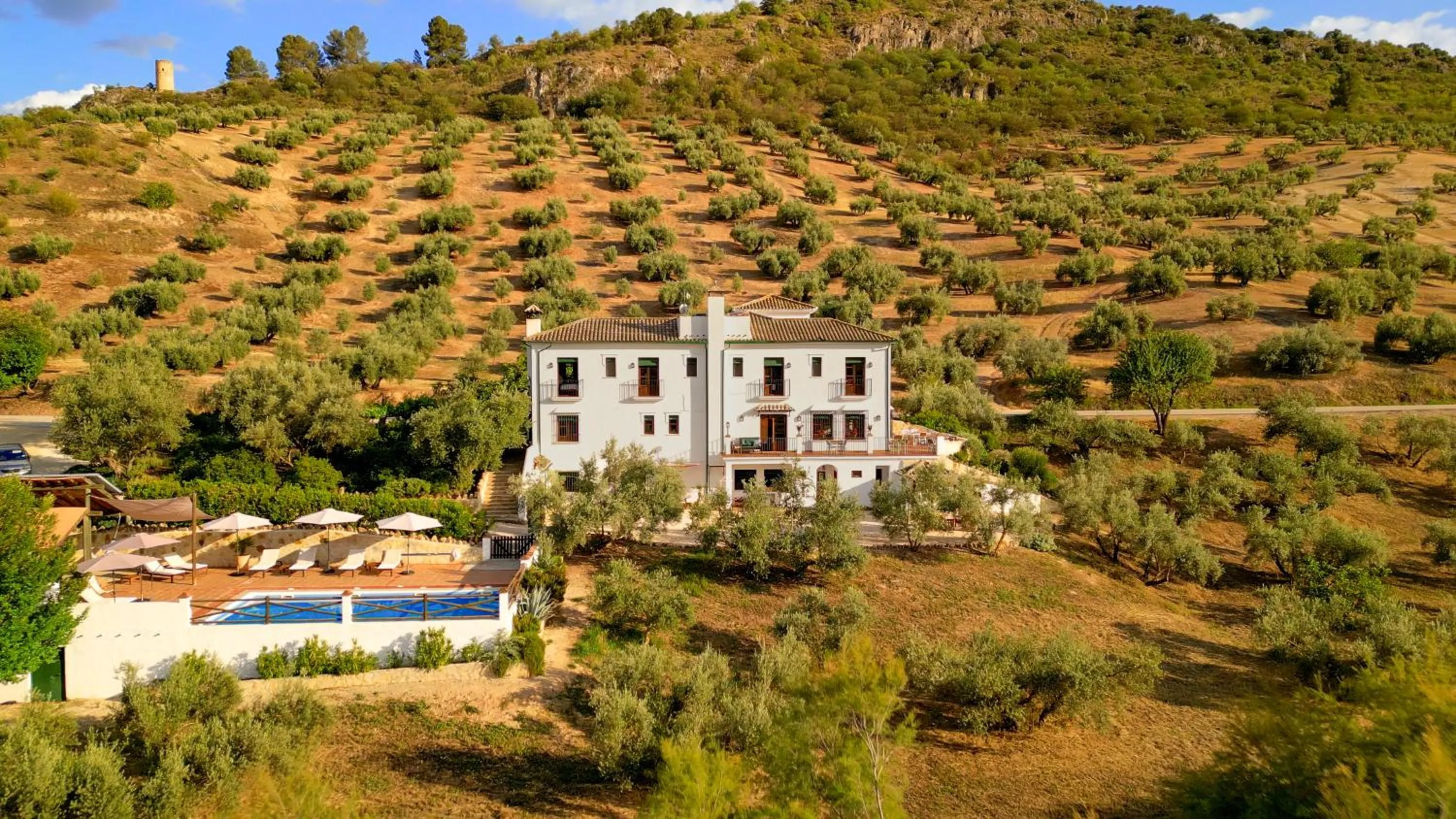 Property building in Casa Olea