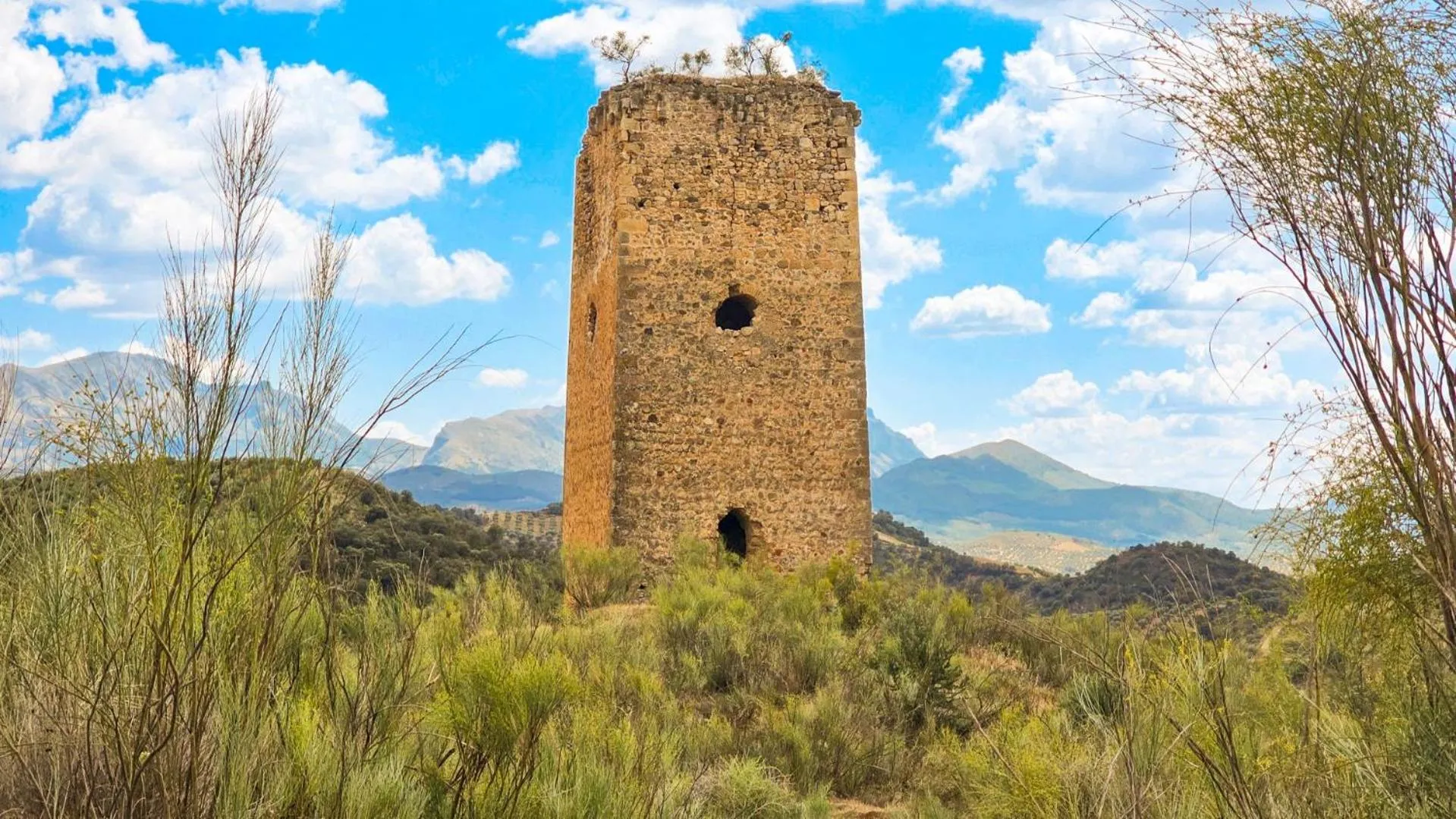 Nearby landmark in Casa Olea